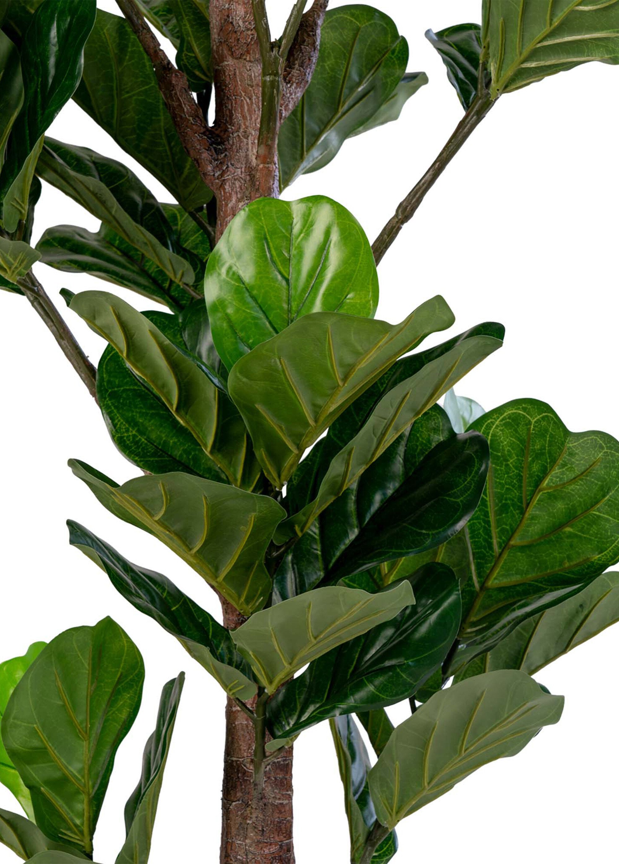 Plante artificielle XXL type figuier