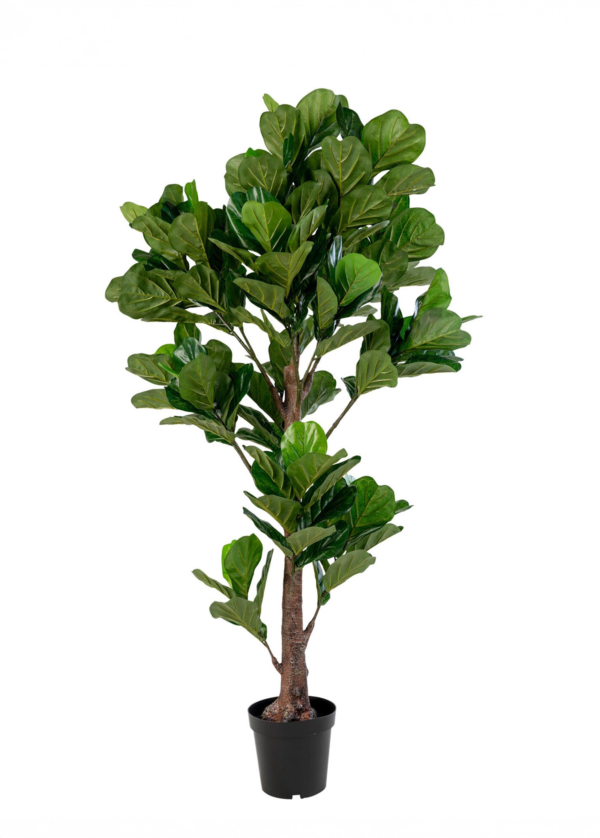 Plante artificielle XXL type figuier