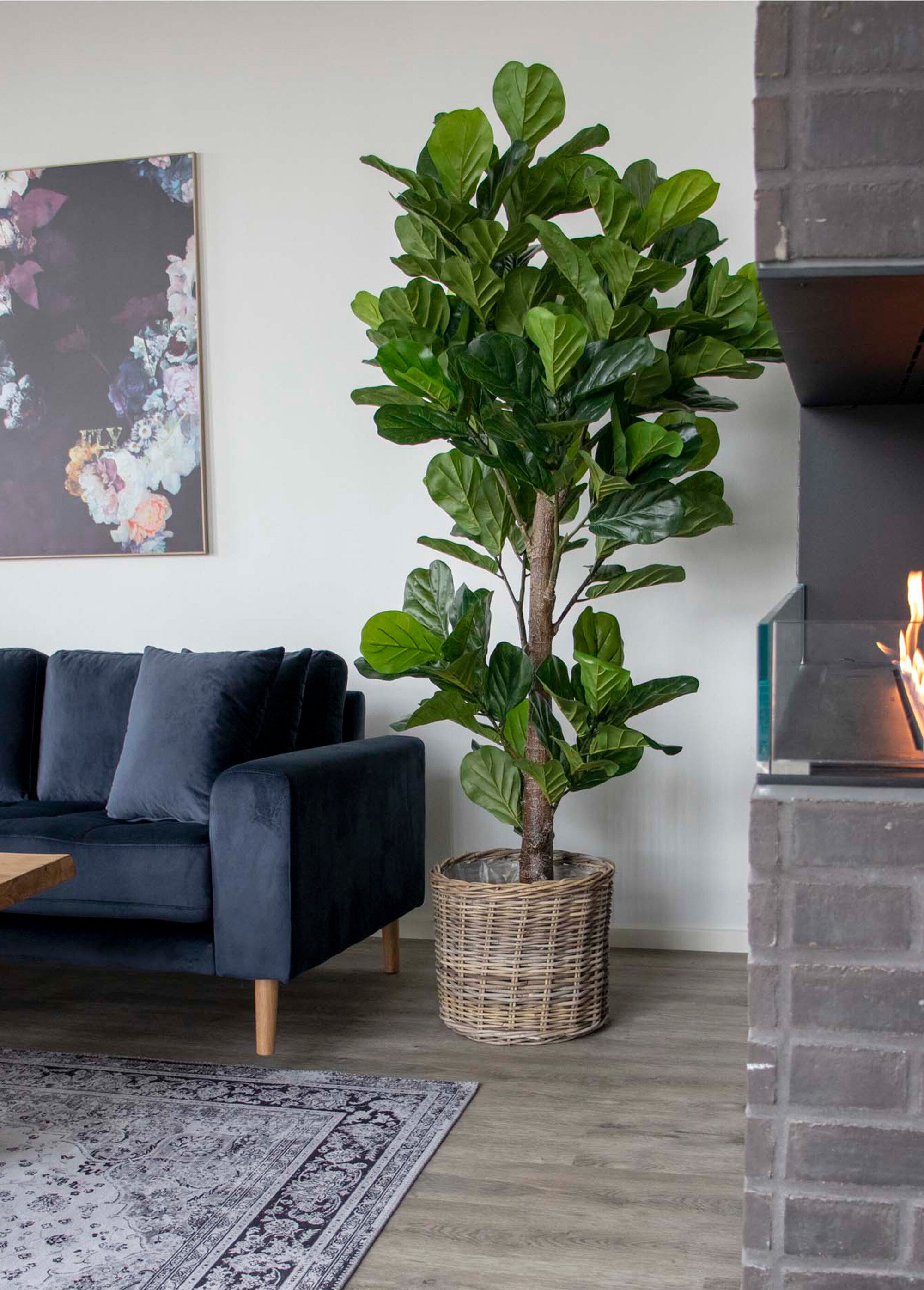 Plante artificielle XXL type figuier Vert HN-9501050 SI1