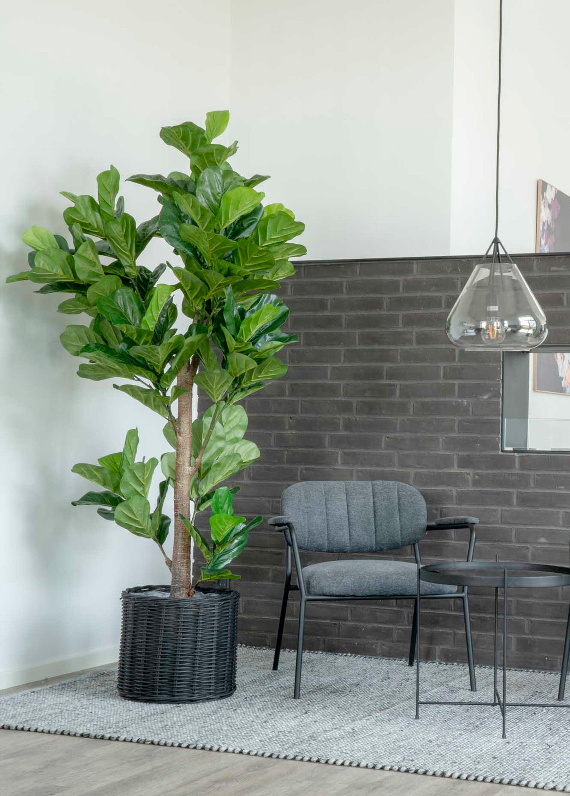 Plante artificielle XXL type figuier Vert HN-9501050 SI2