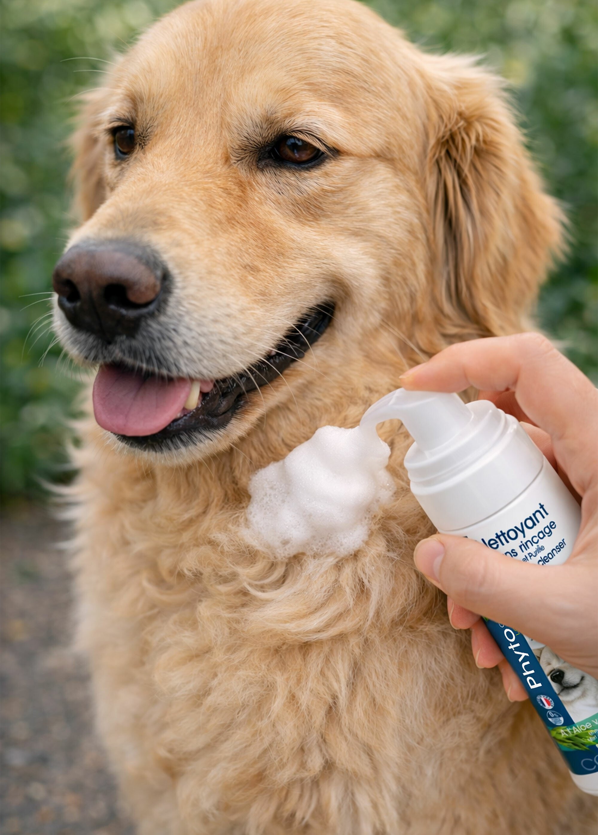 Mousse nettoyante aloe vera chien/chat BLANC RIG-10095094EL SI1