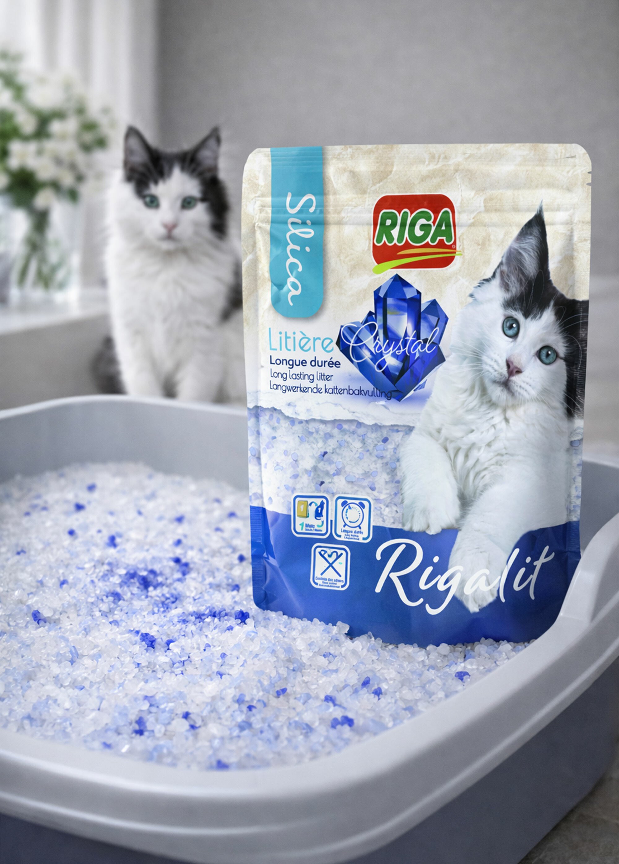 Litière longue durée, gel de Silice BLANC RIG-00002766EL SI1