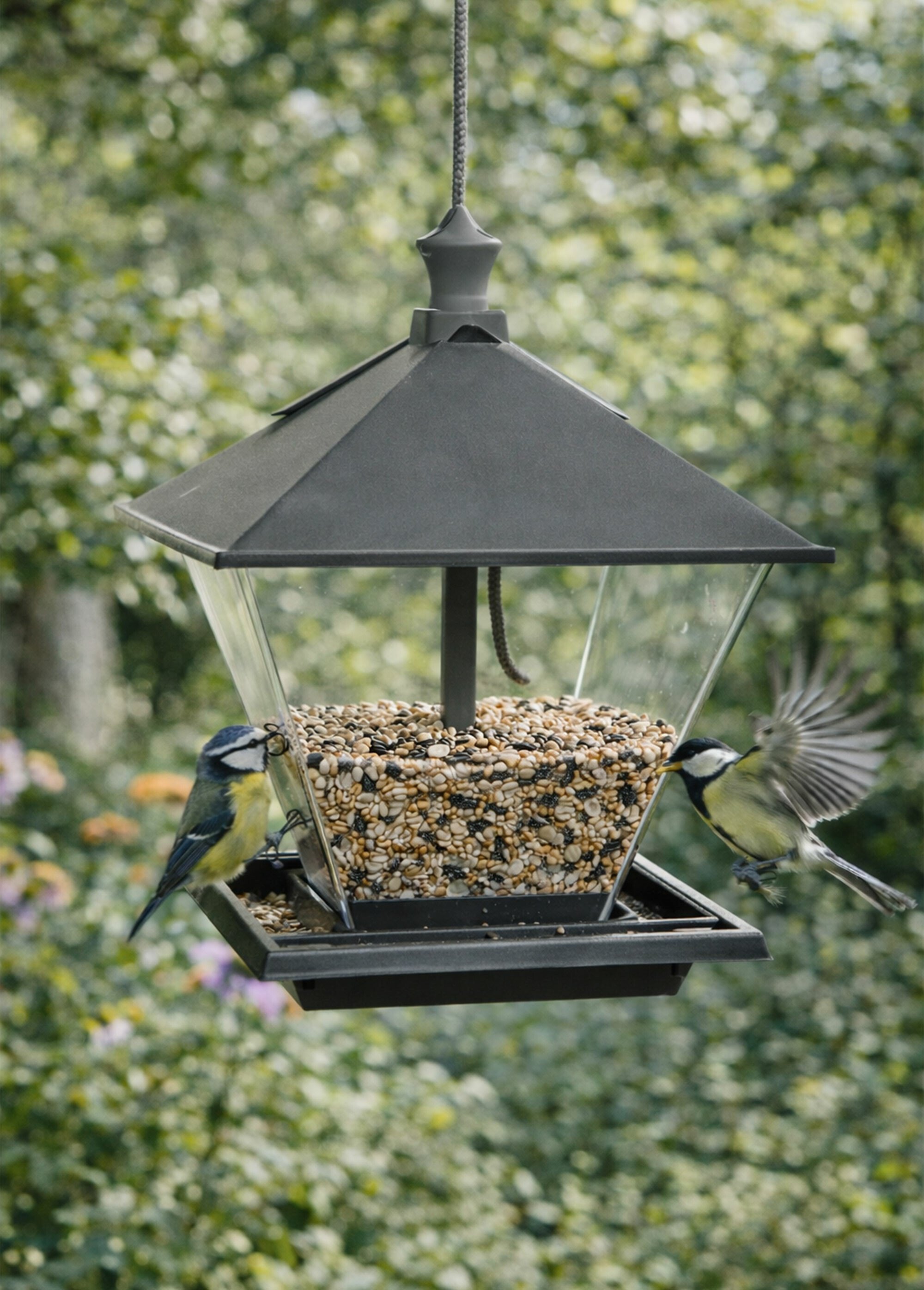 Mangeoire nordique pour oiseaux BEIGE RIG-00001691EL SI1