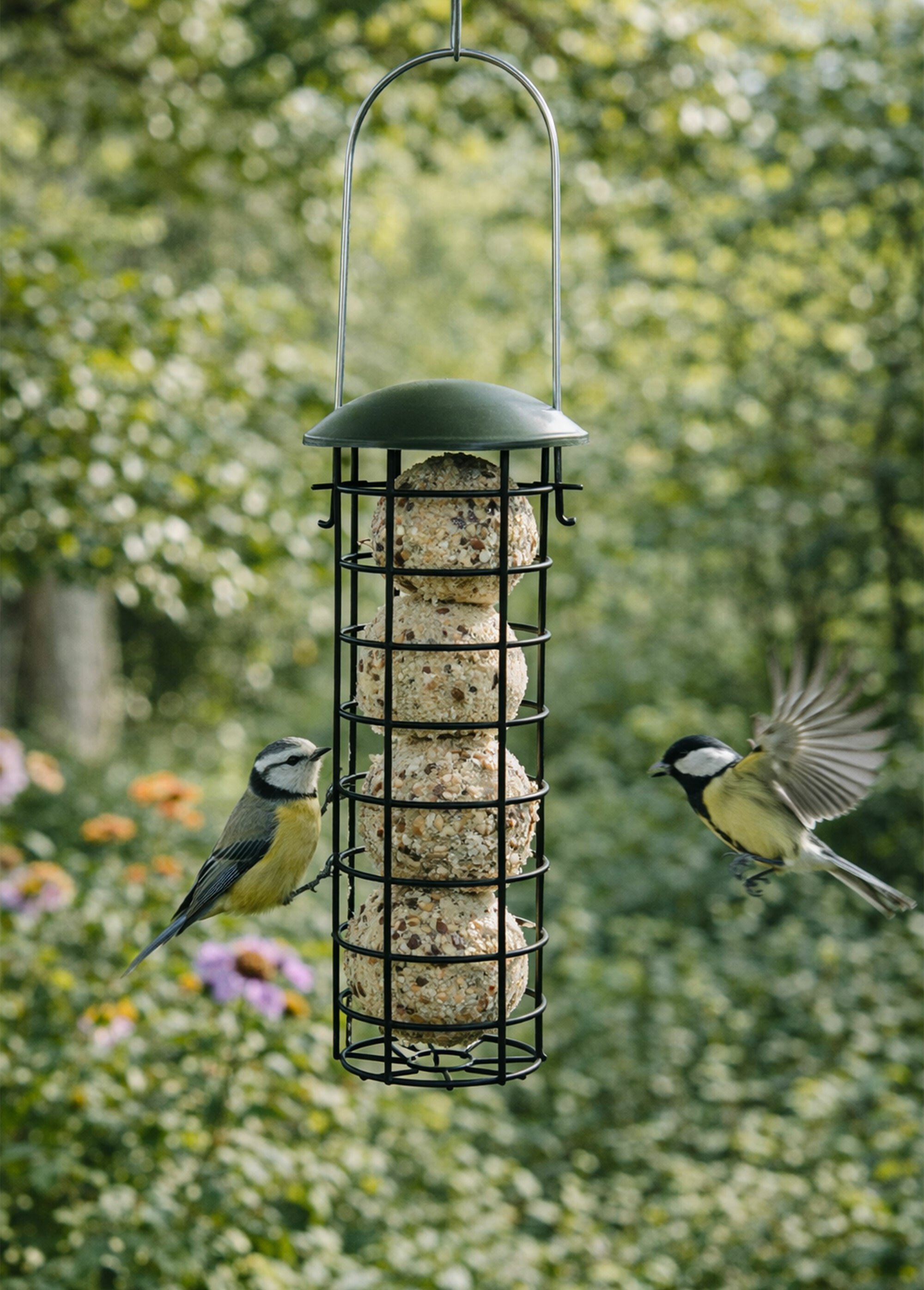 Distributeur de boules de graisse NOIR RIG-00006585EL SI1