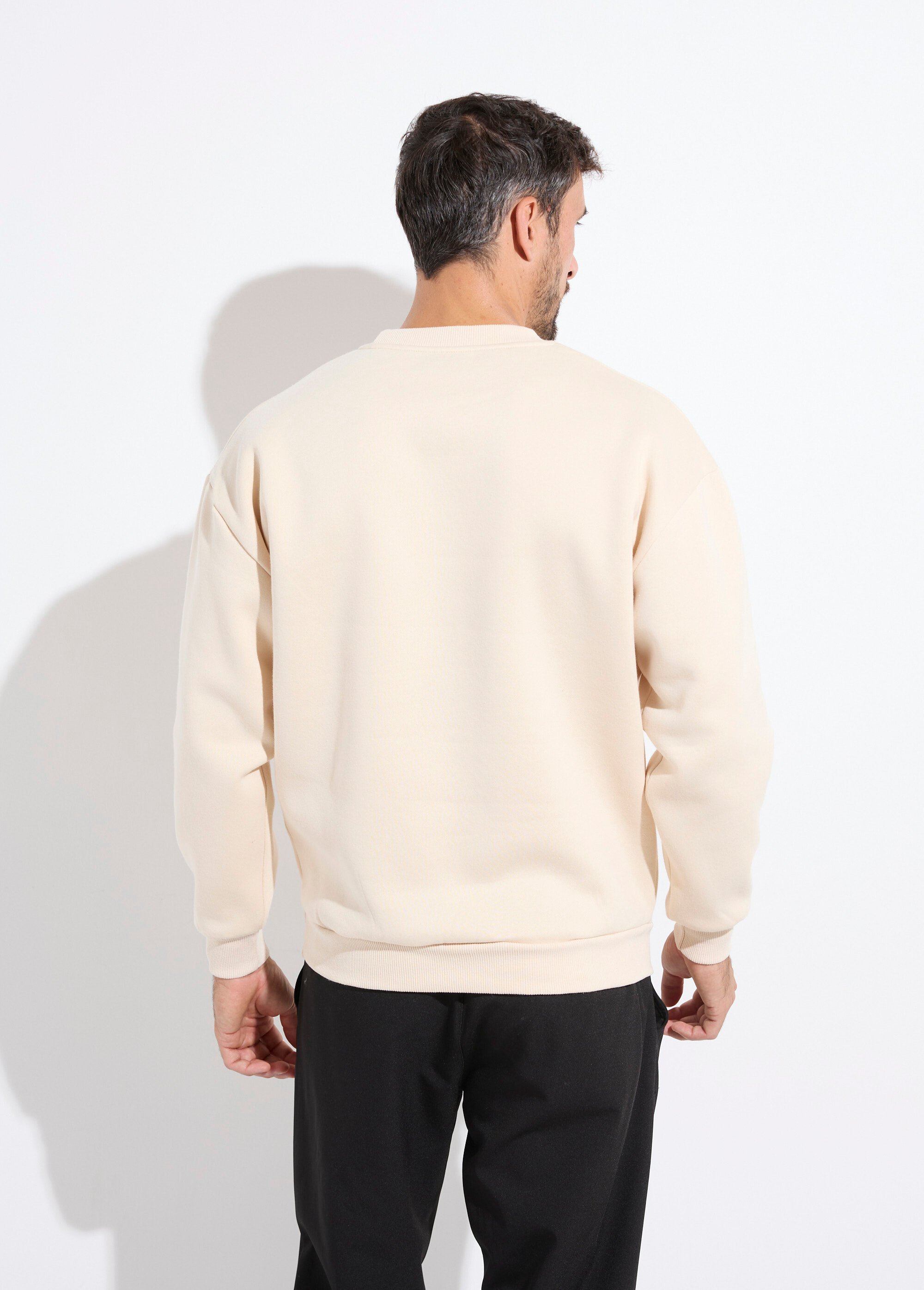 Sweat shirt col rond, détails bord cotes Beige MENZT1009 DO1