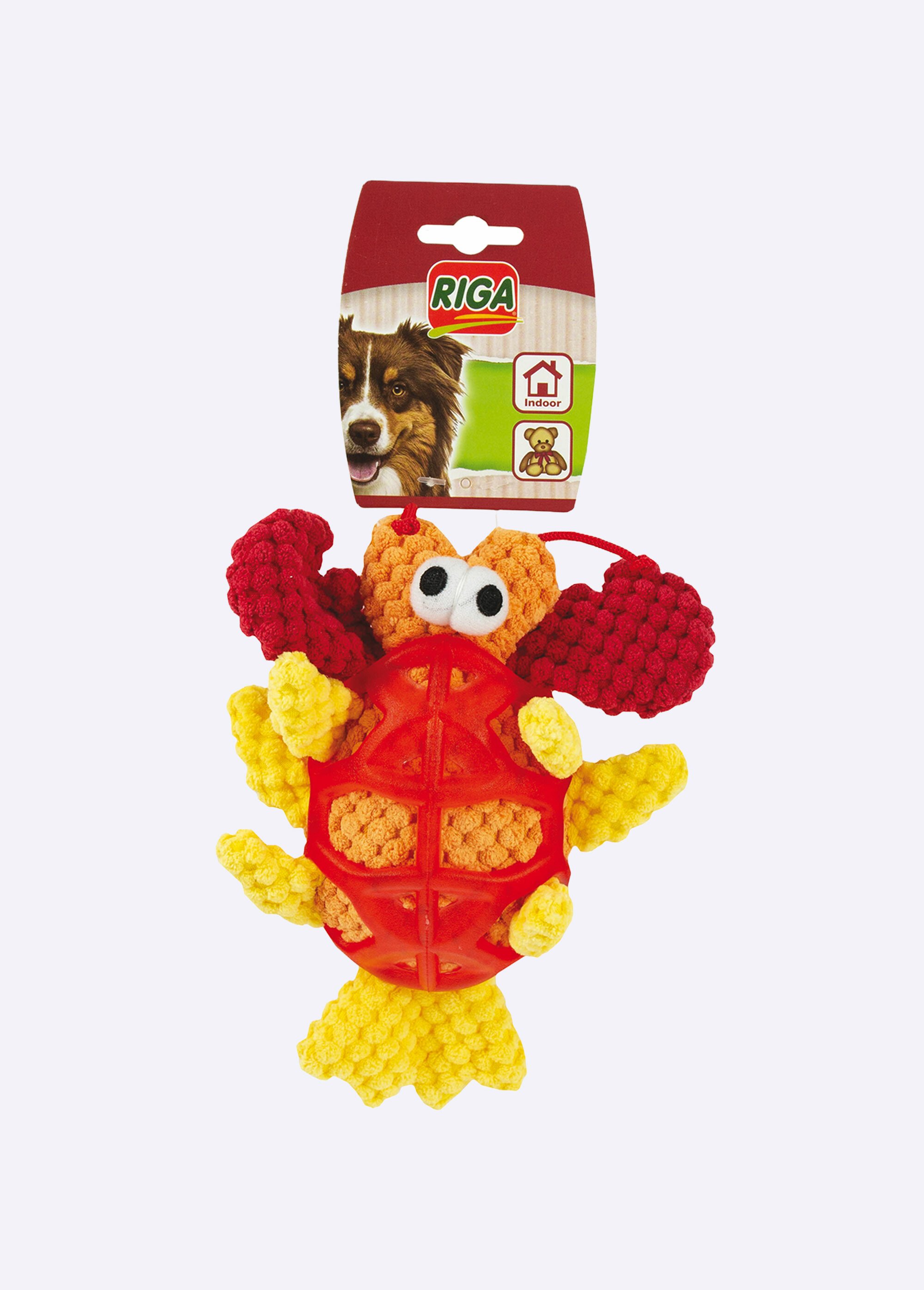 Doudou tissu et caoutchouc, pour chien ORANGE RIG-00005975EL FA1