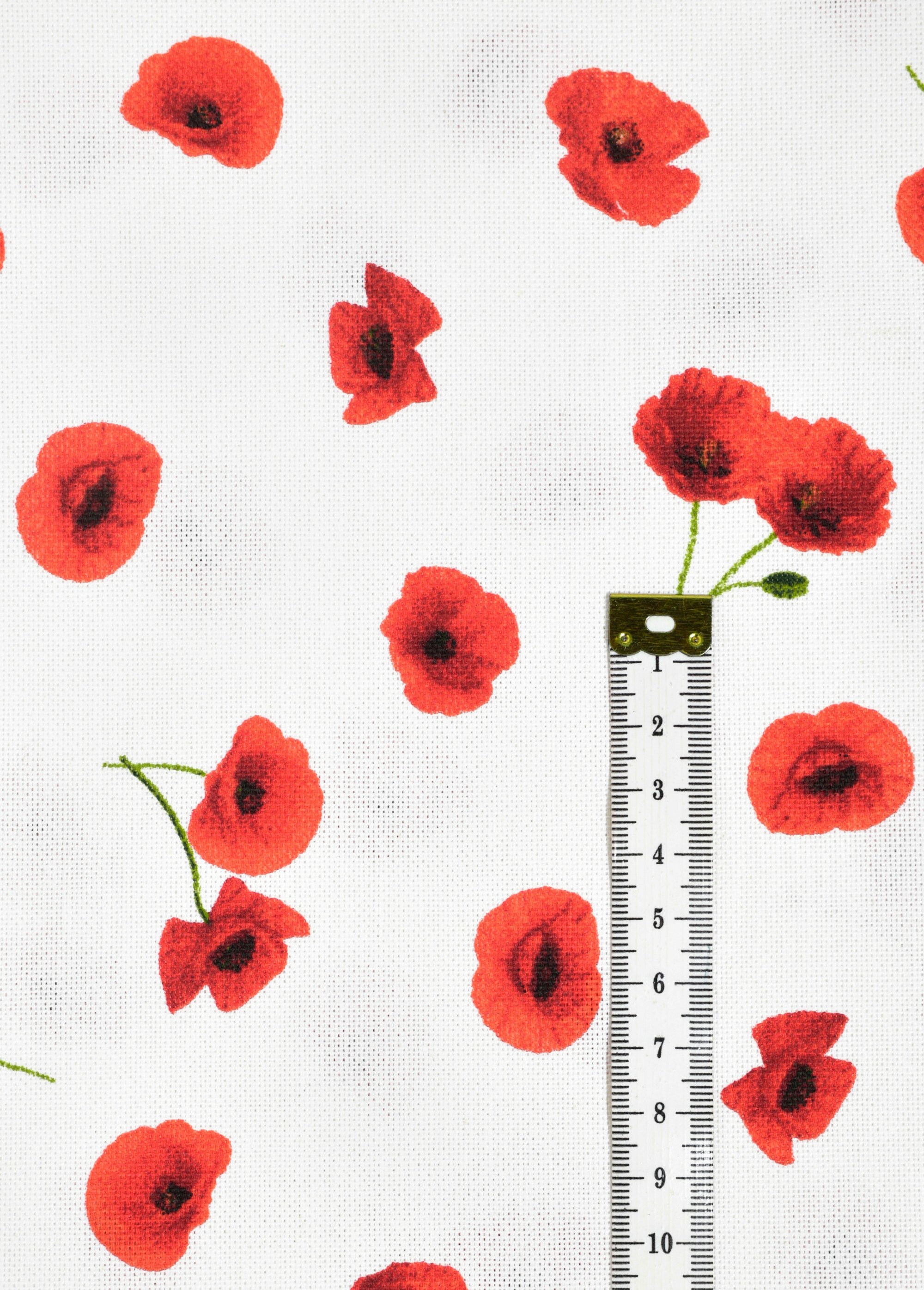 Coupon ameublement, coquelicot 3x1,4m ROUGE COT149869 DE1