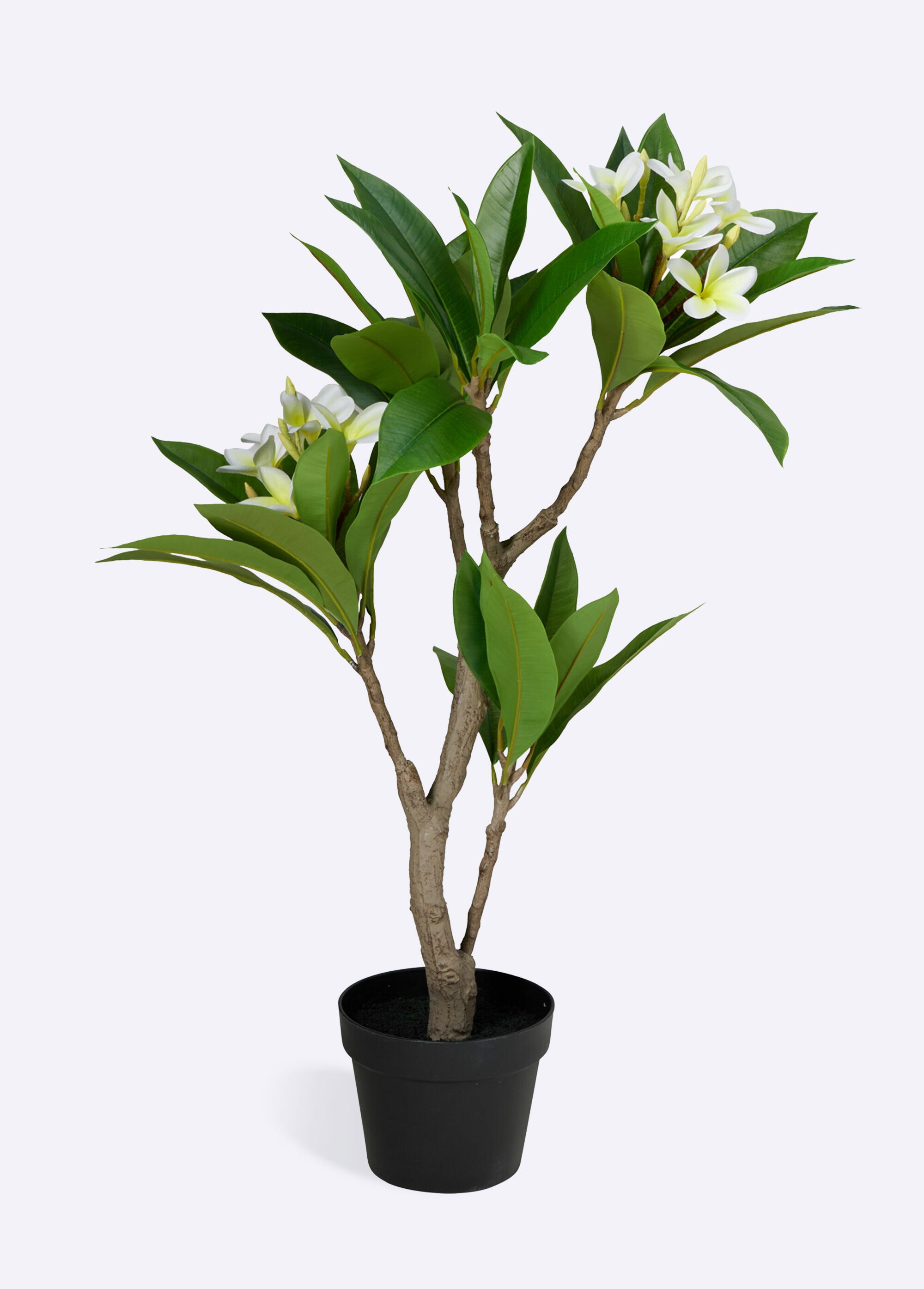 Plante artificielle frangipanier clair