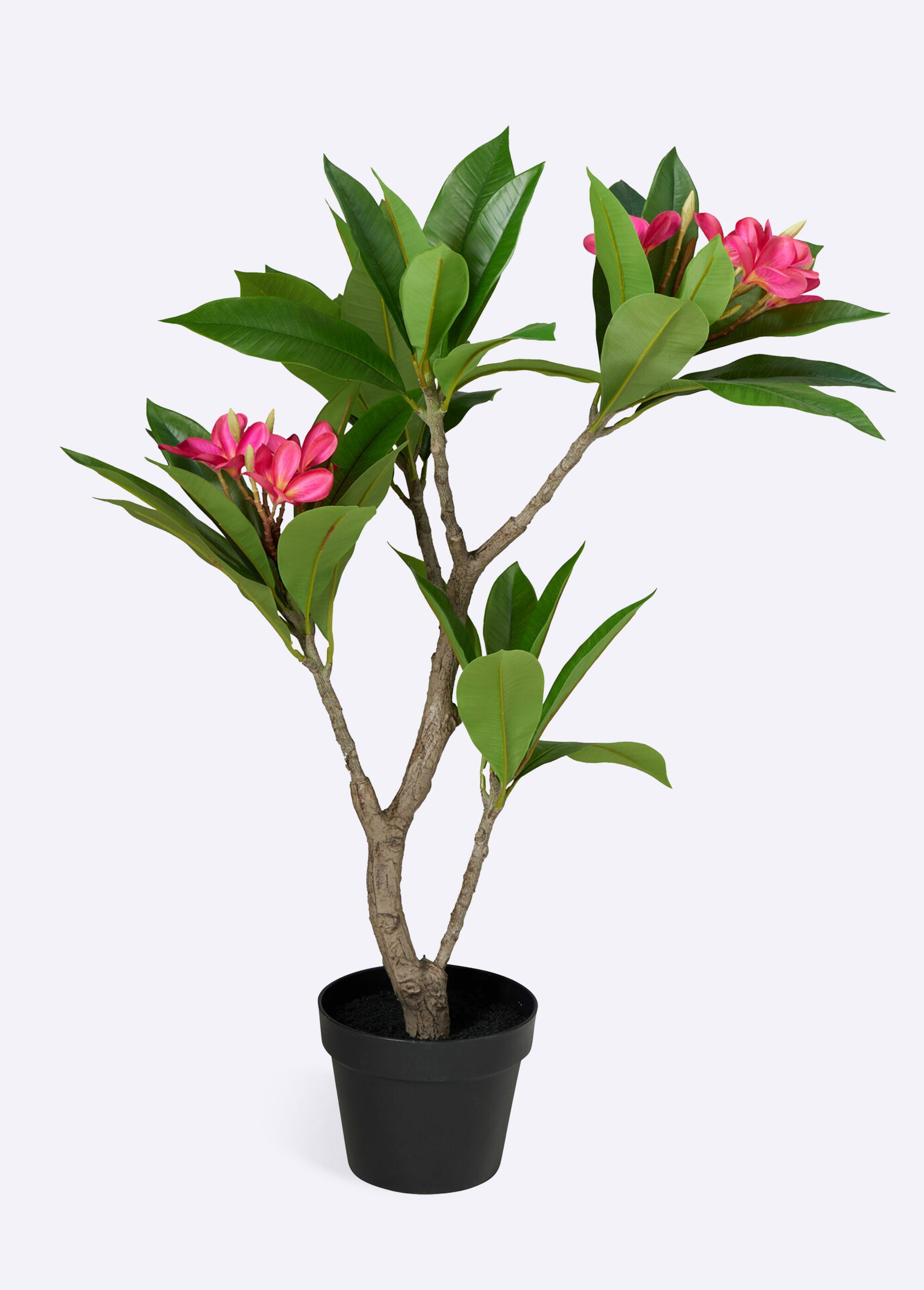 Plante artificielle frangipanier vif