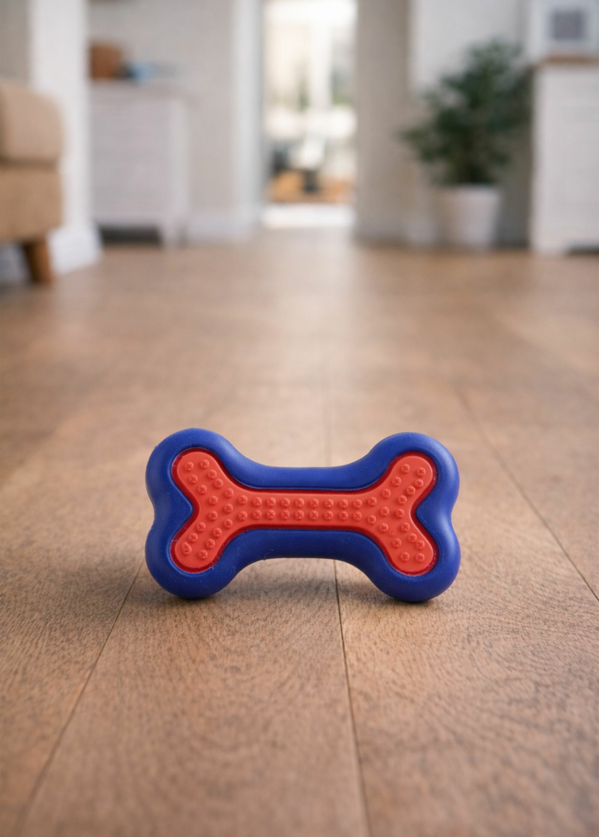 Jouet à machouiller pour chien, forme os ROUGE RIG-00006137EL SI1