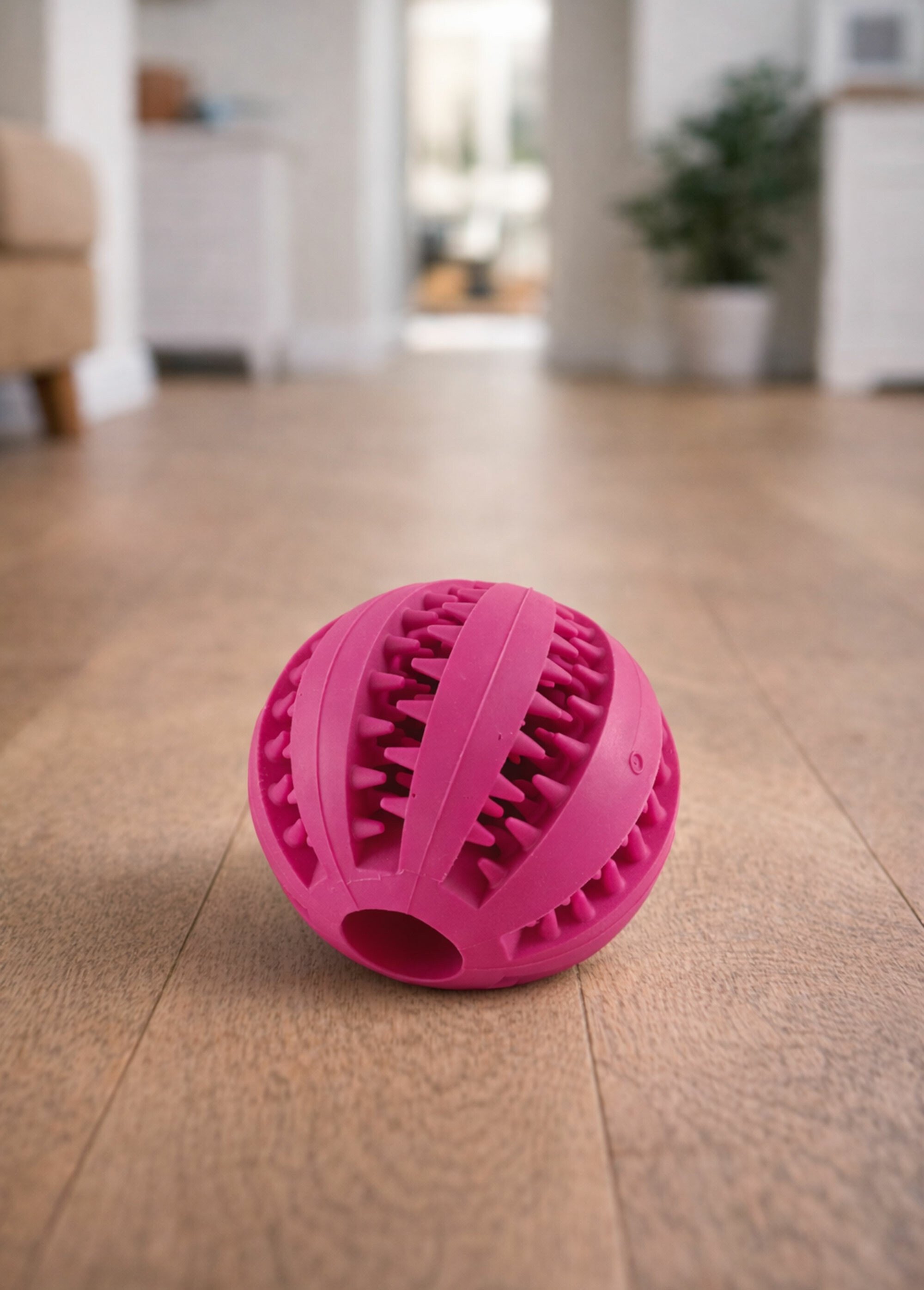 Balle de jeu à machouiller pour chien ROSE RIG-00005573EL SI1