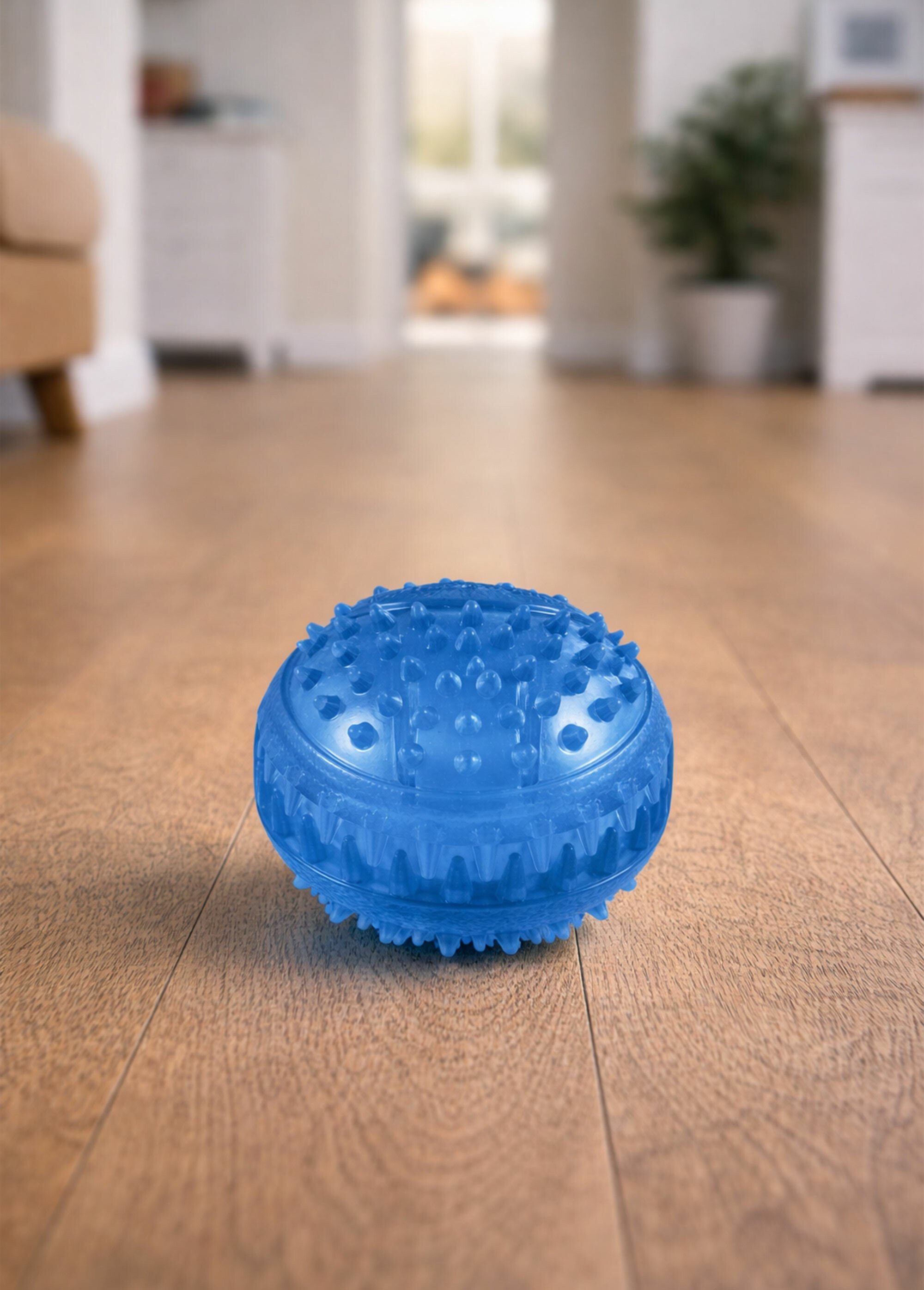 Balle de jeu à picots pour chien BLEU RIG-00006735EL SI1