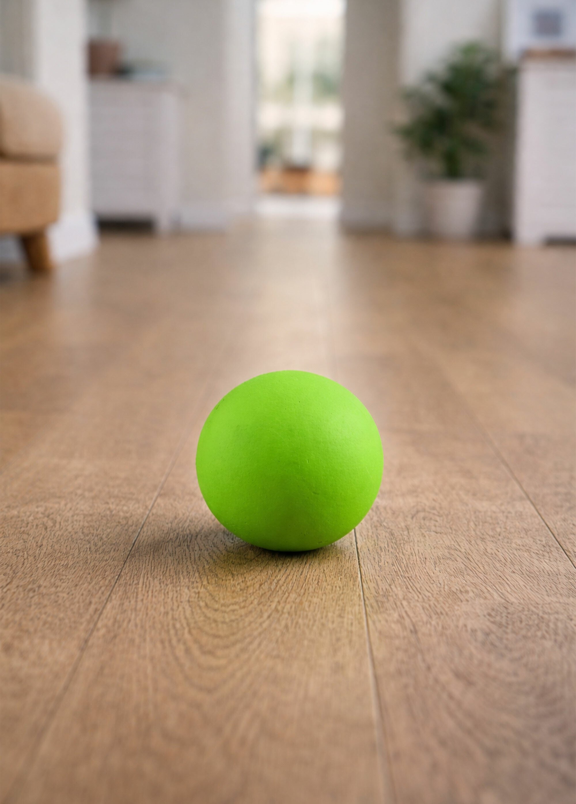 Balle rebondissante pour chien VERT RIG-00006734EL SI1