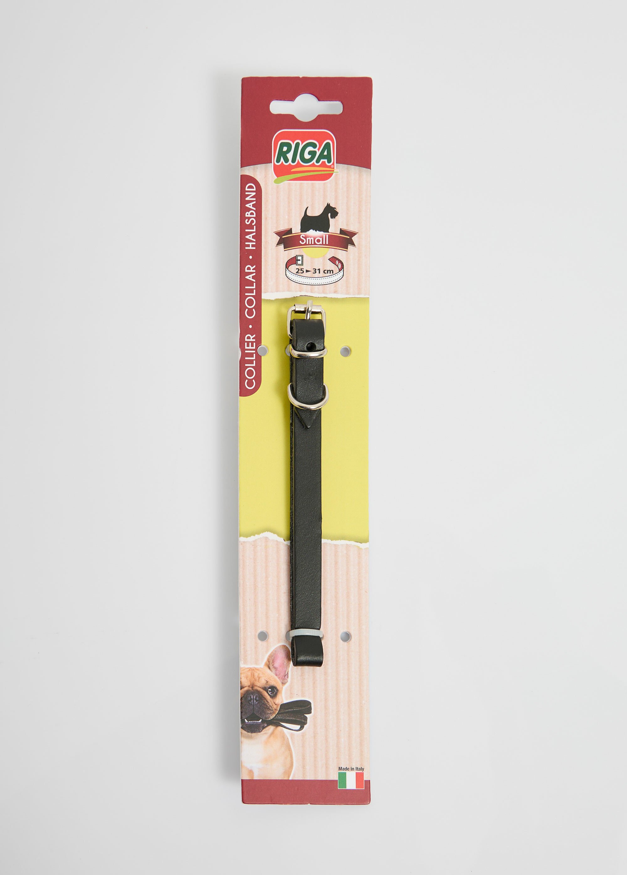 Collier cuir et boucle métal, pour chien NOIR RIG-00005719EL DE1