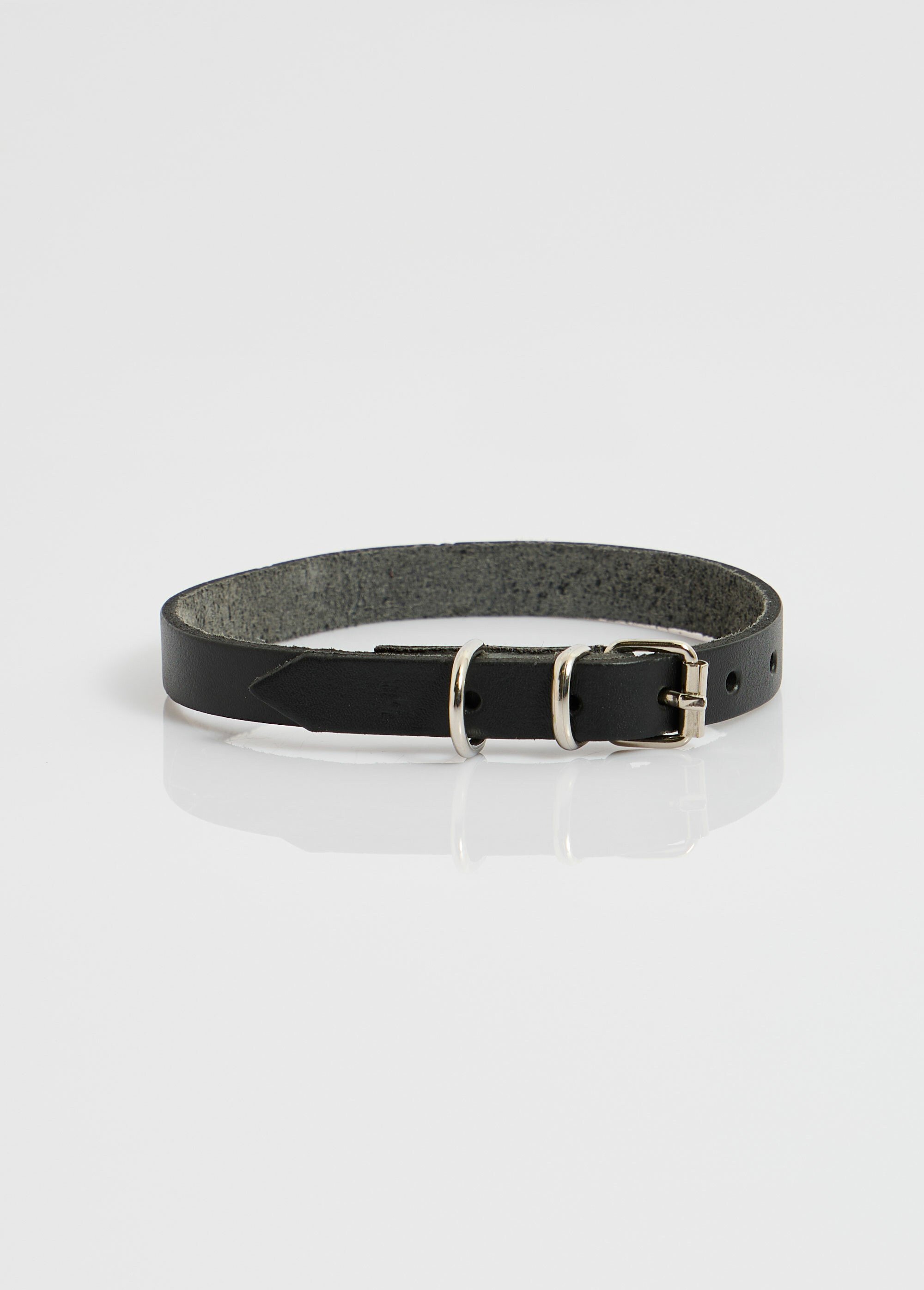 Collier cuir et boucle métal, pour chien NOIR RIG-00005719EL FA1