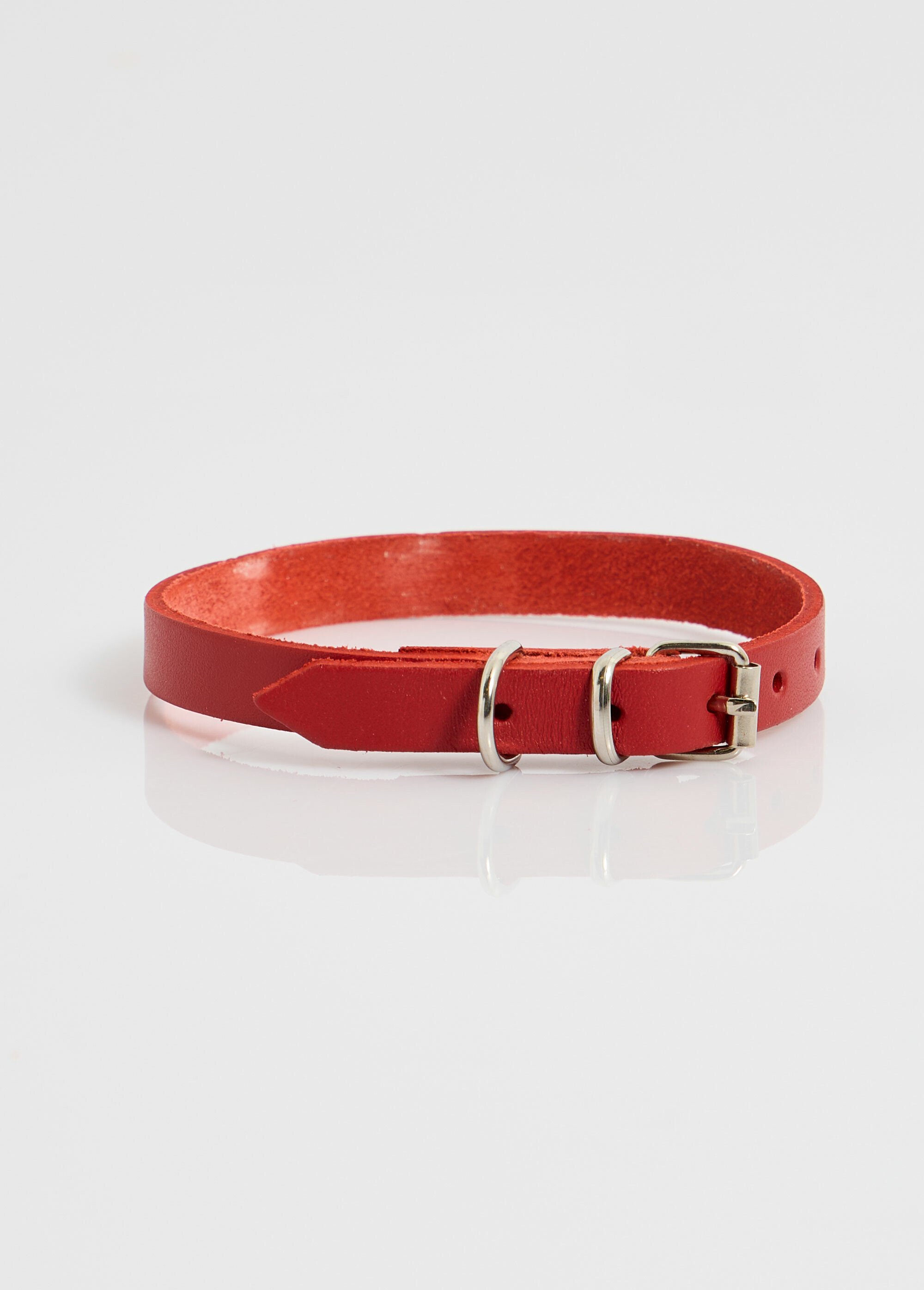 Collier cuir et boucle métal, pour chien