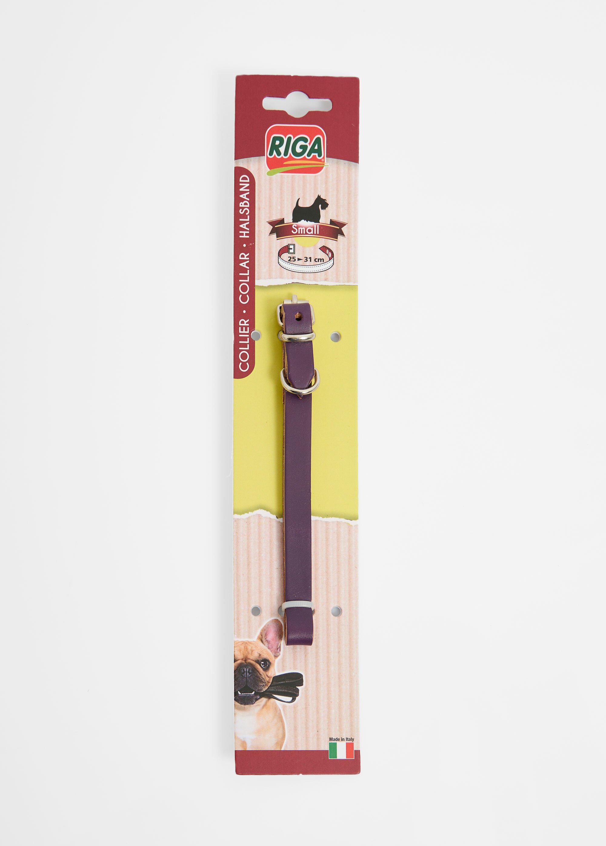 Collier cuir et boucle métal, pour chien