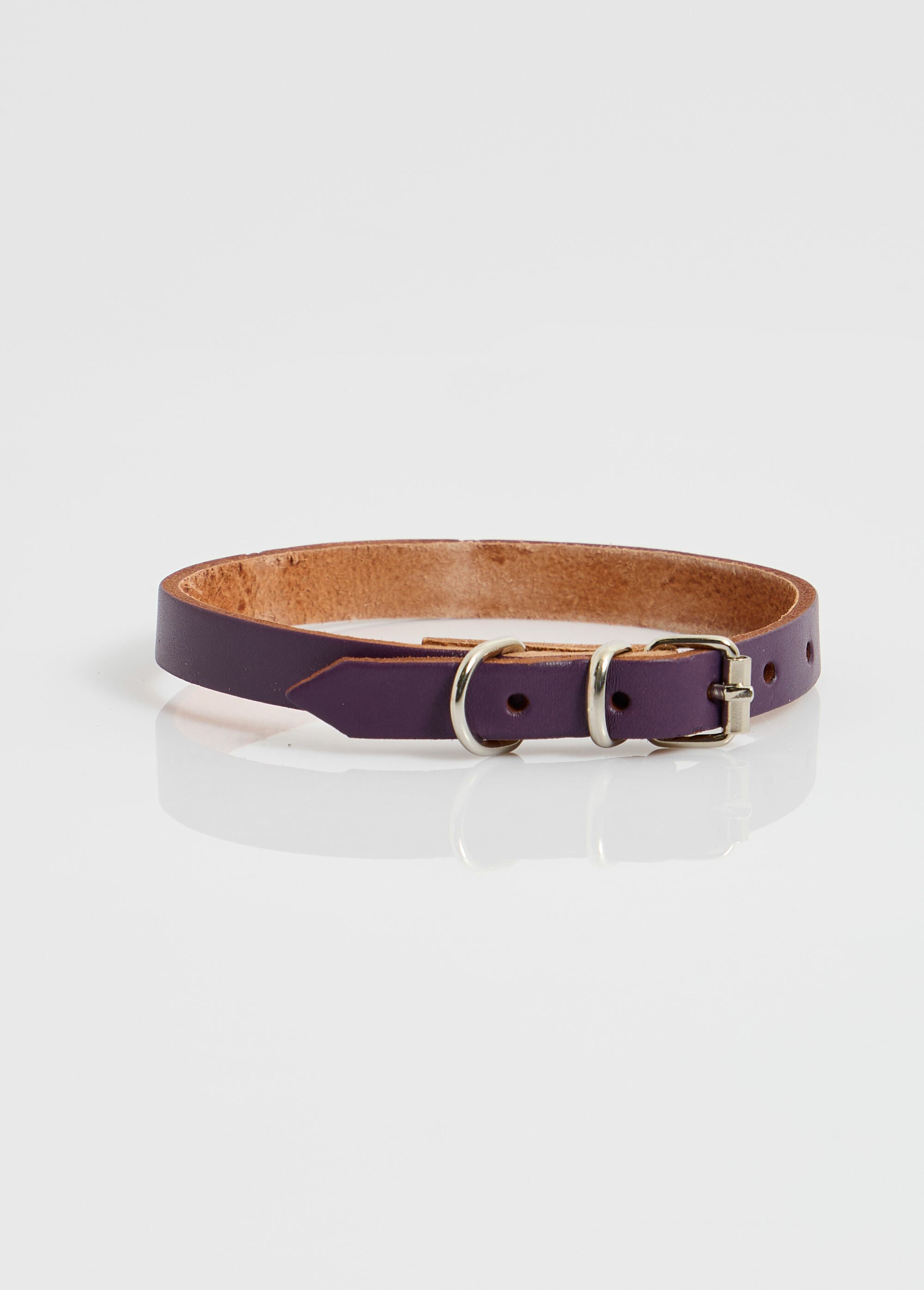Collier cuir et boucle métal, pour chien VIOLET RIG-00005719EL FA1