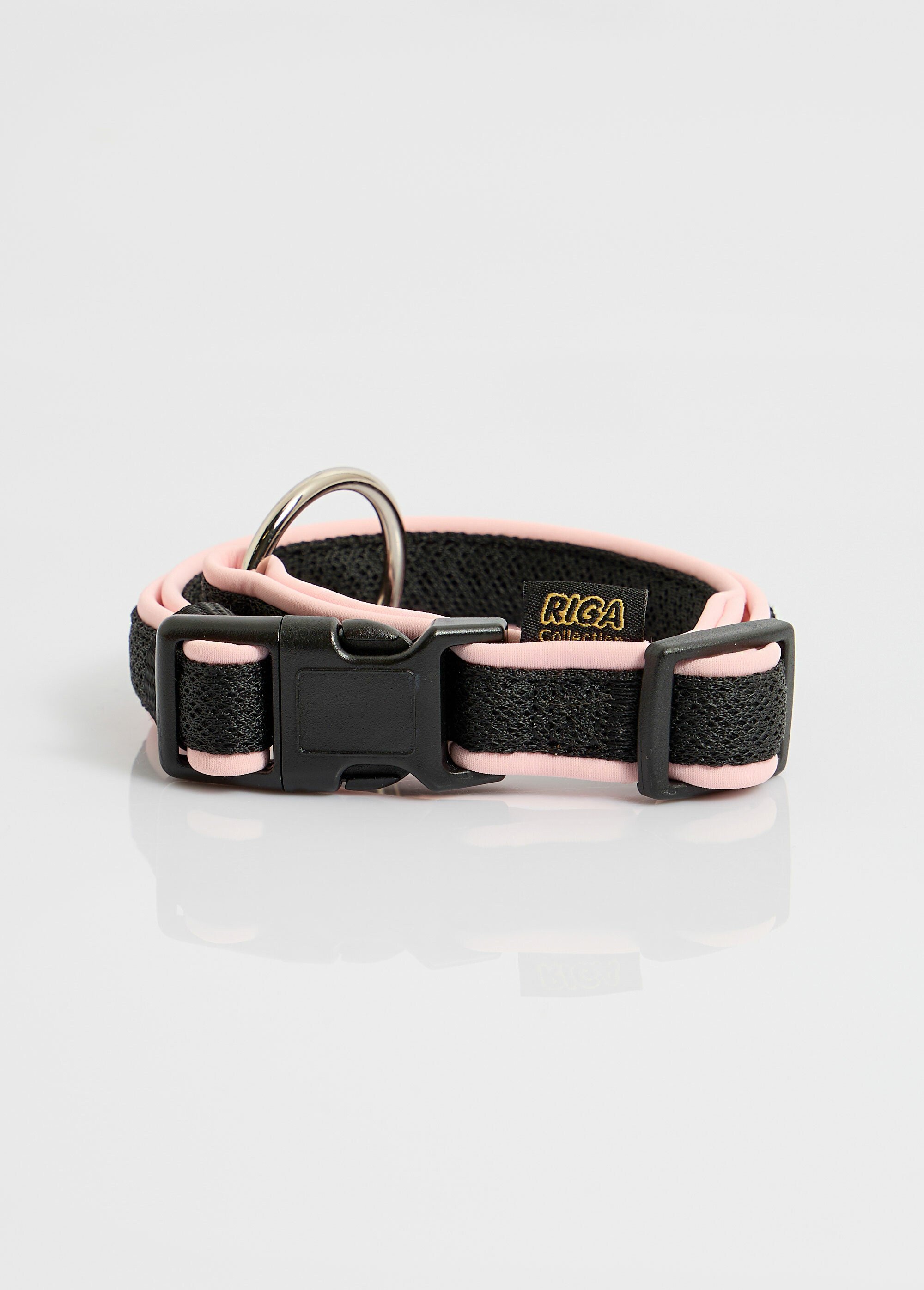 Collier bicolore, chien taille moyenne