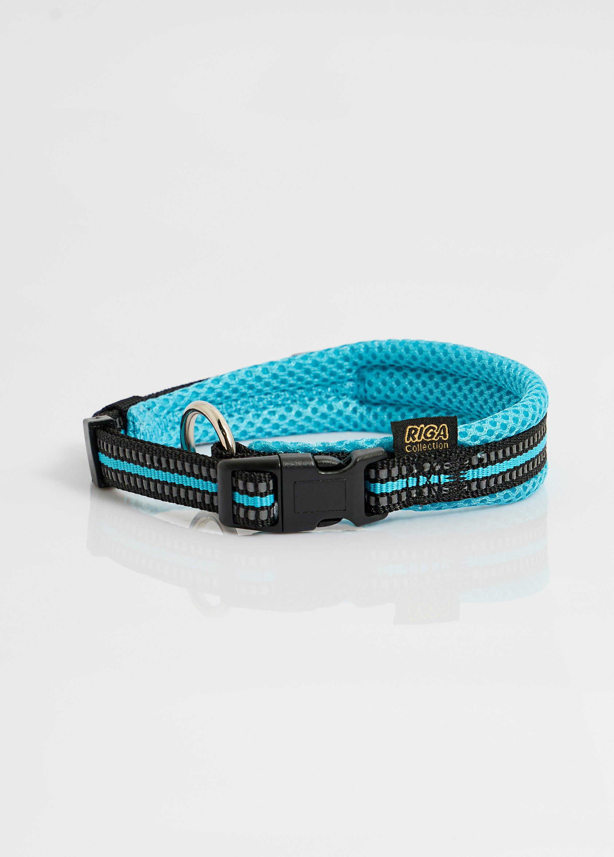 Collier fluo réfléchissant pour chien