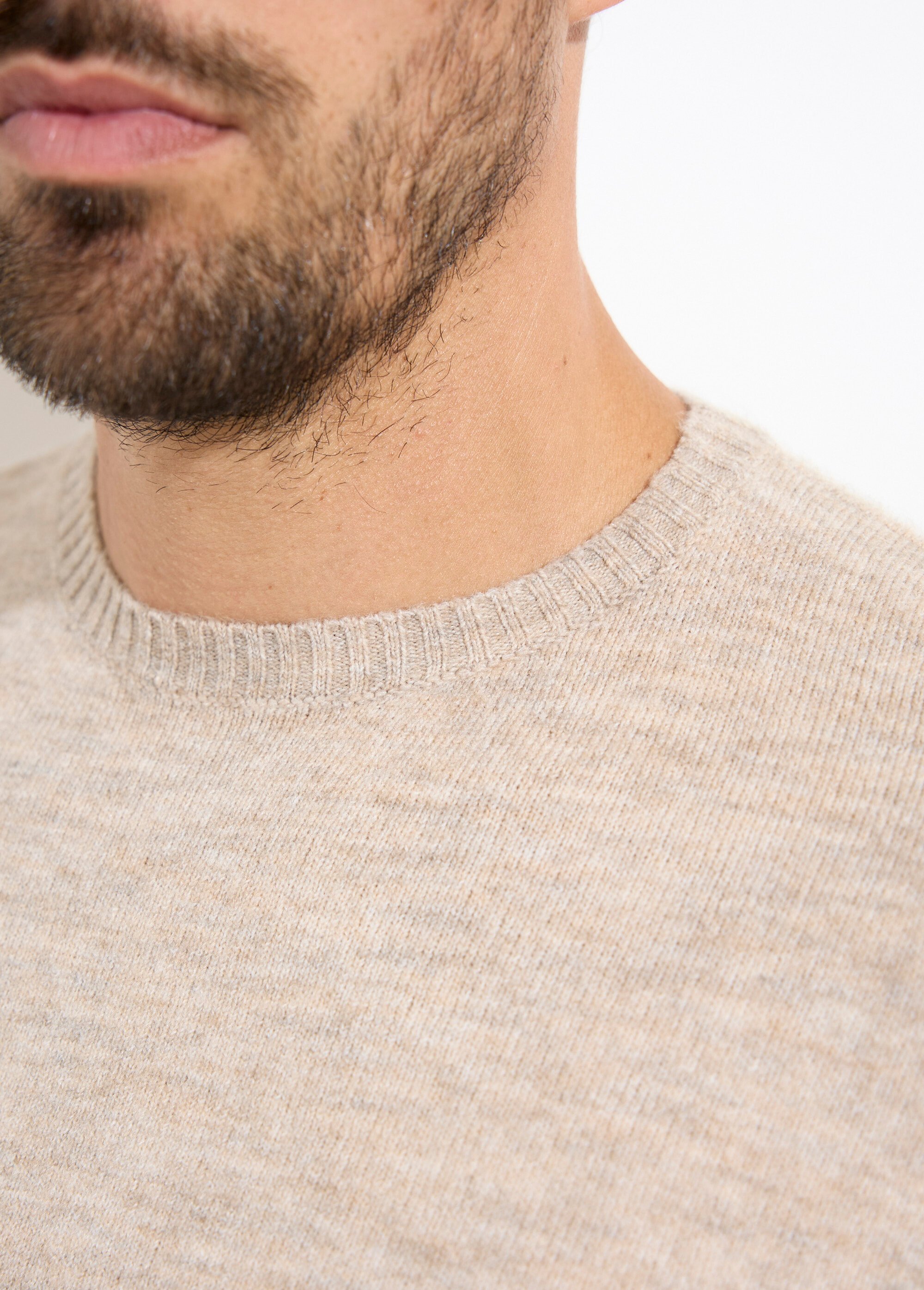 Pull col rond fine jauge, coupe ajustée Homme Beige MENW13-581959 DE2
