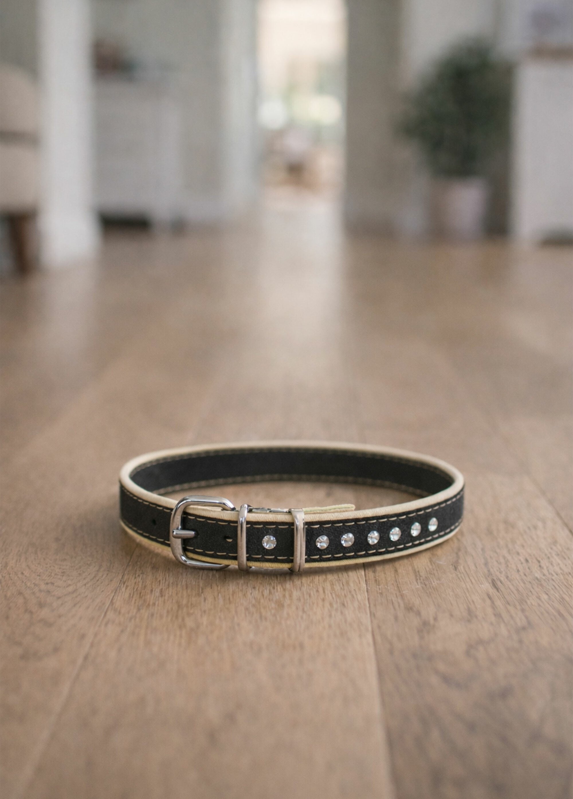 Collier chien à boucle avec strass BEIGE RIG-00005671EL SI1