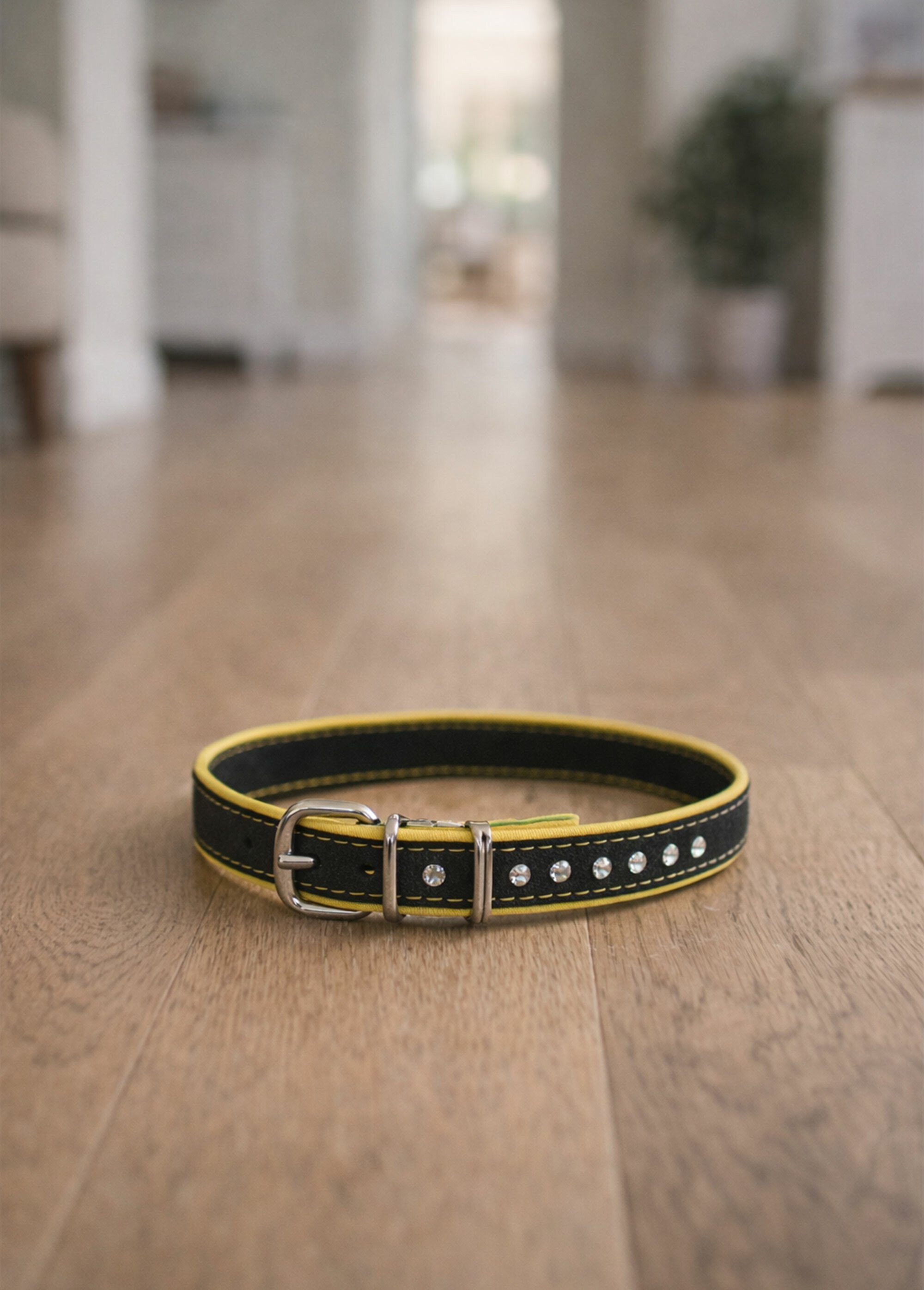 Collier chien à boucle avec strass JAUNE RIG-00005671EL SI1