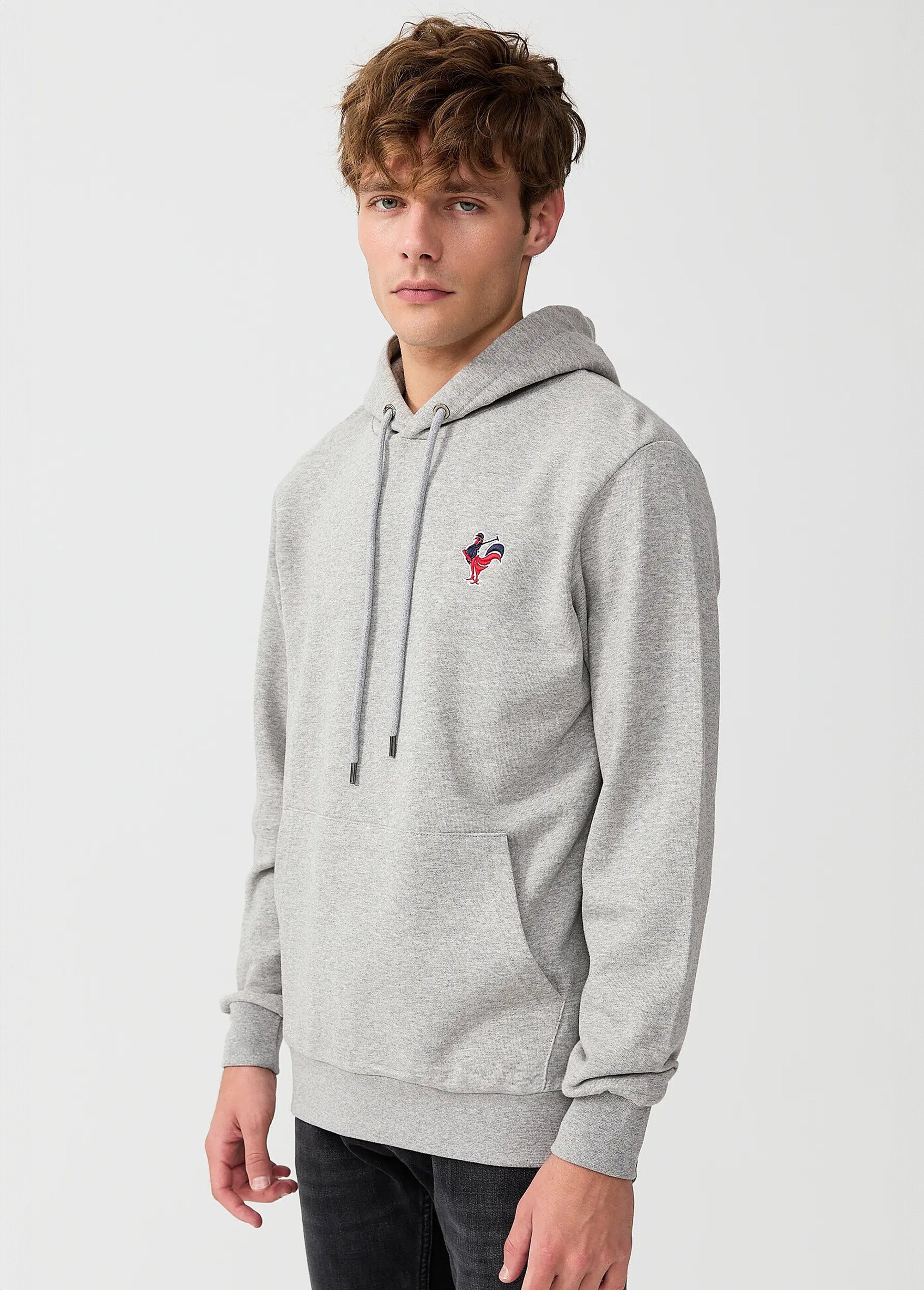 Sweat shirt kangourou à capuche, brodé Gris MFKTREMBLAY DR1