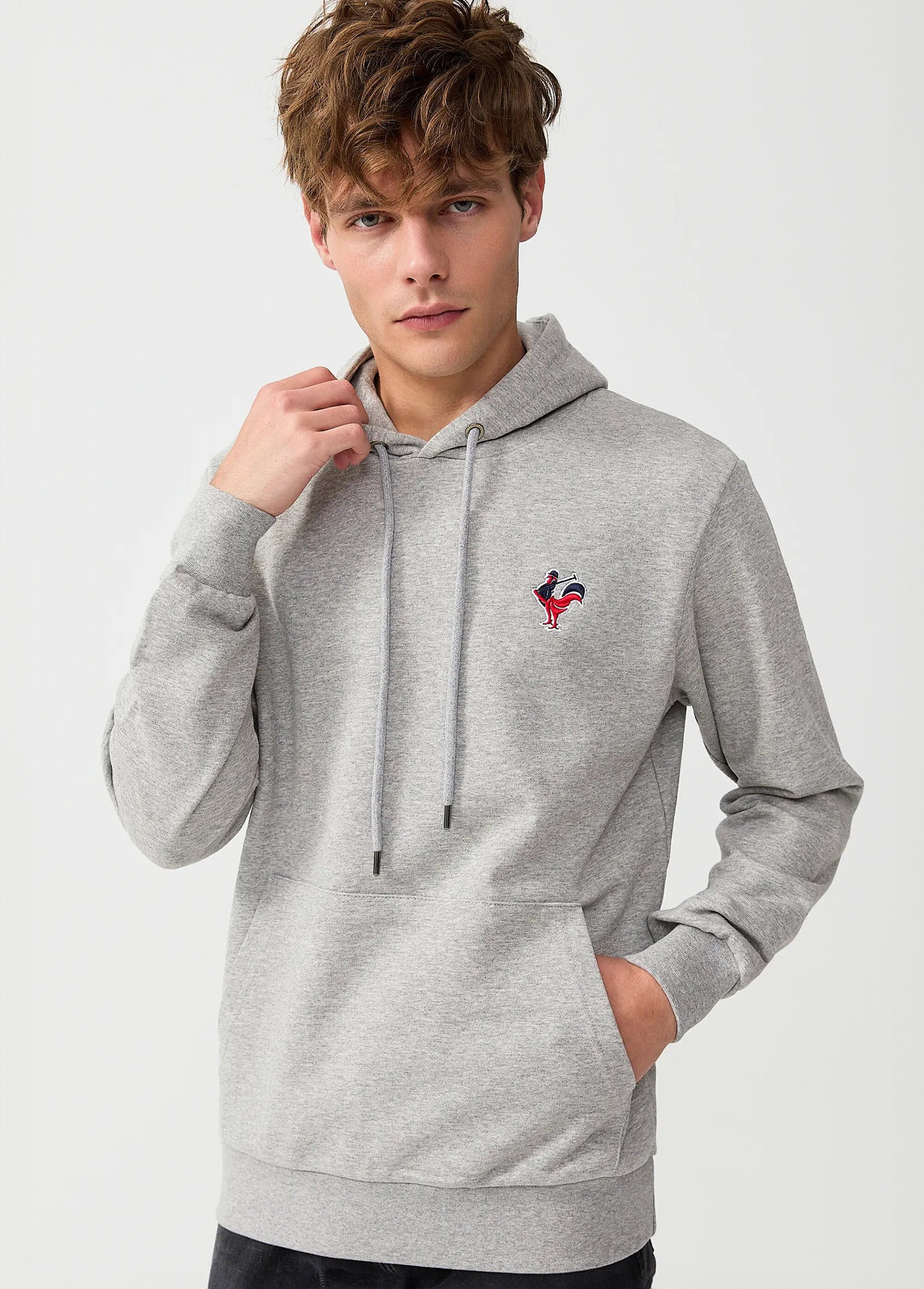 Sweat shirt kangourou à capuche, brodé Gris MFKTREMBLAY MV1