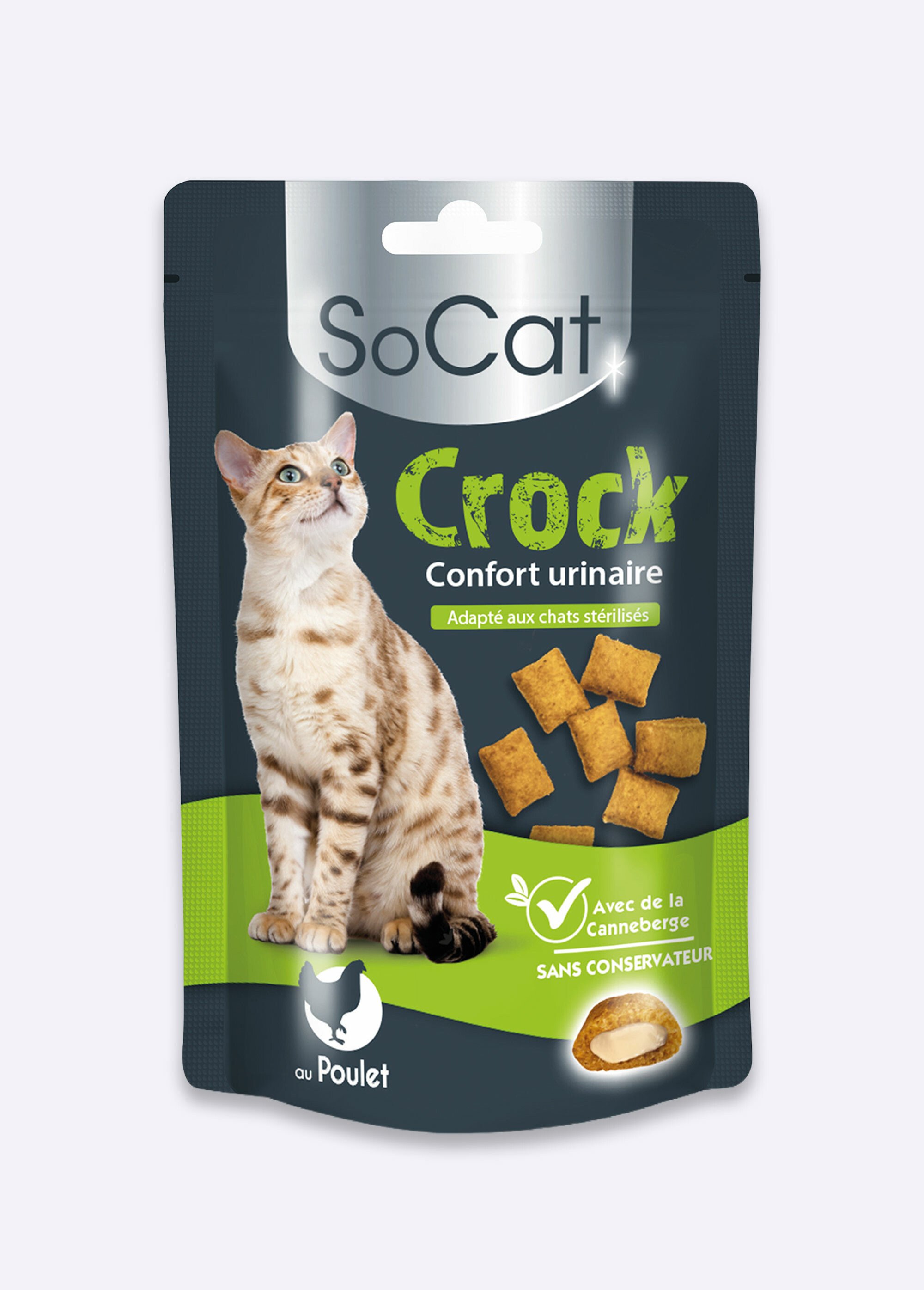 Friandises chat pour confort urinaire MARRON RIG-00006495EL FA1