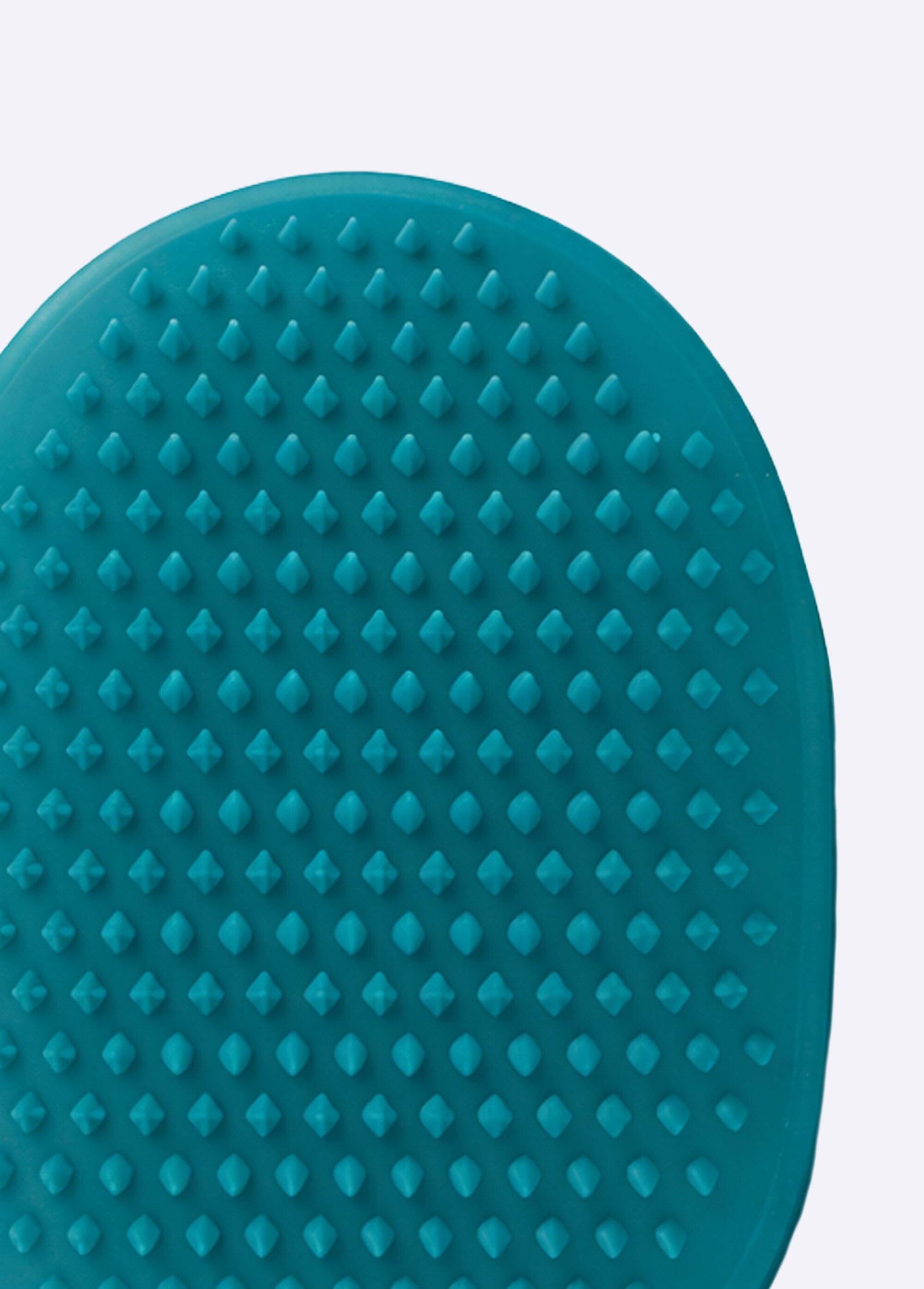 Gant de toilettage pour chien et chat BLEU RIG-00005594EL SI1