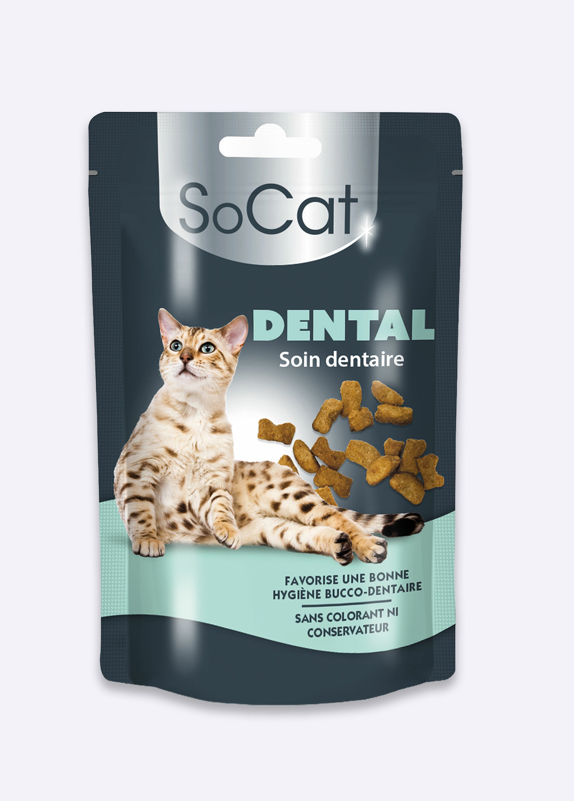 Friandises chat, hygiène bucco dentaire