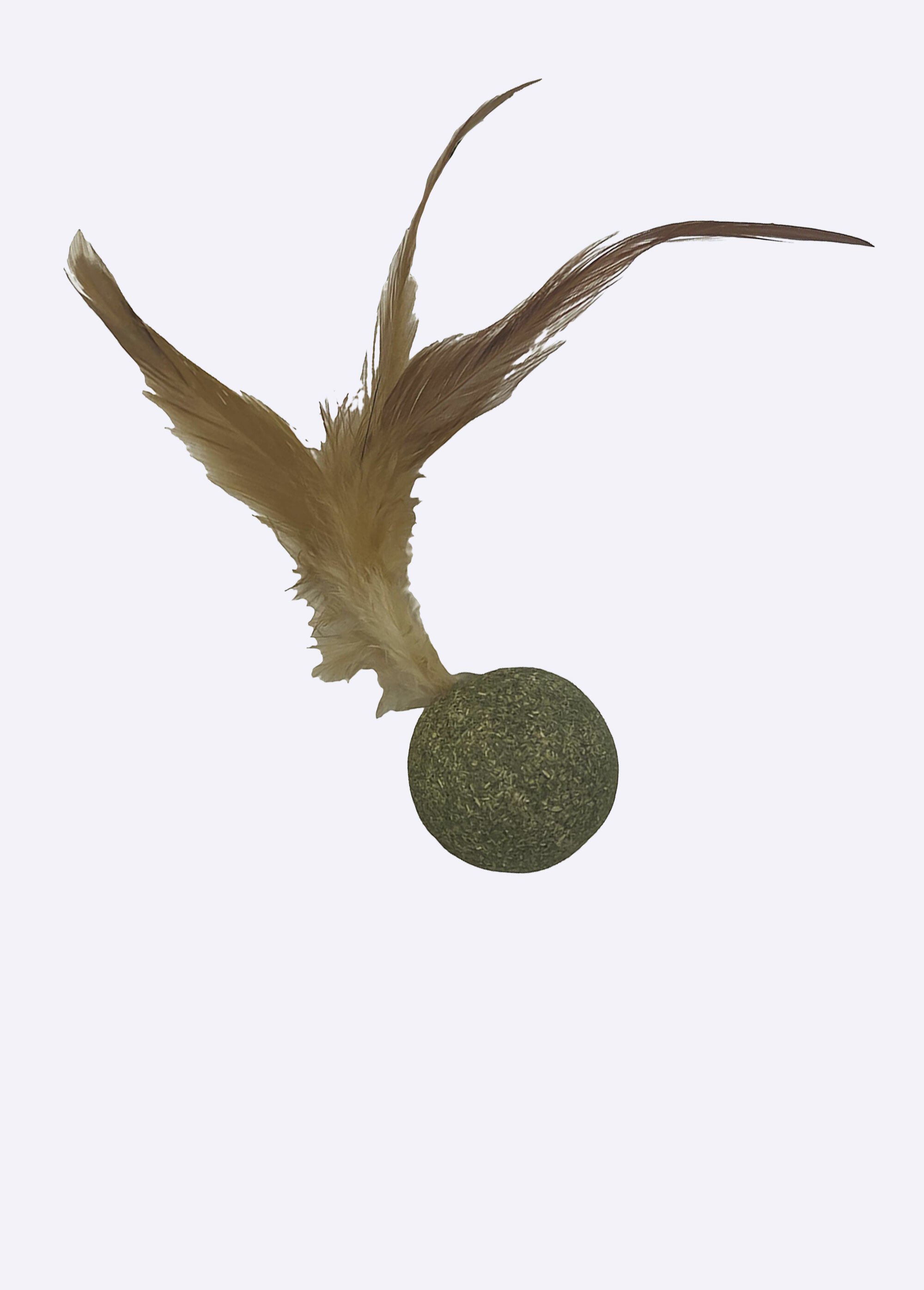 Jouet herbe à chat, avec plume BLANC RIG-00006721EL FA1