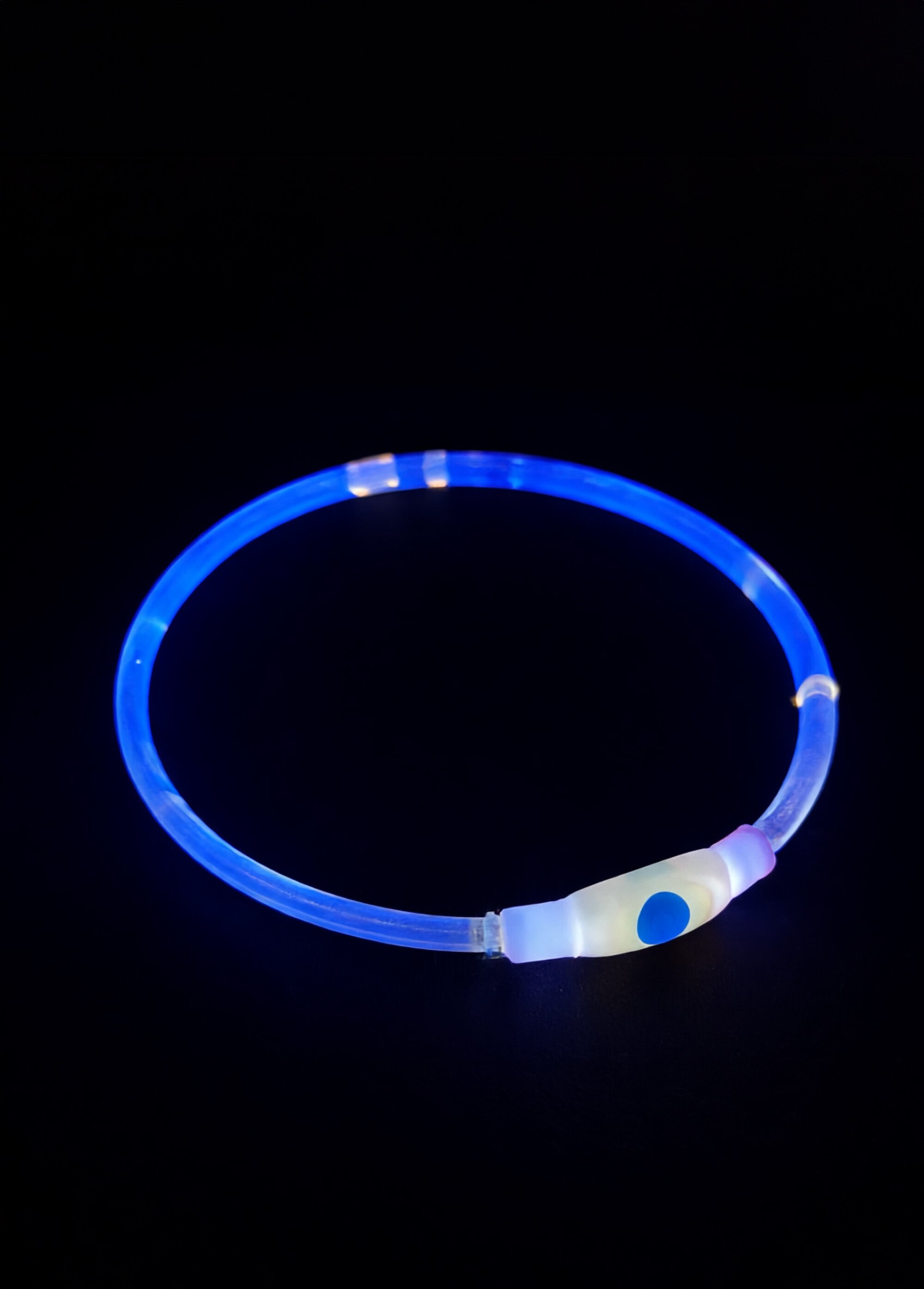 Anneau lumineux flash USB pour chien