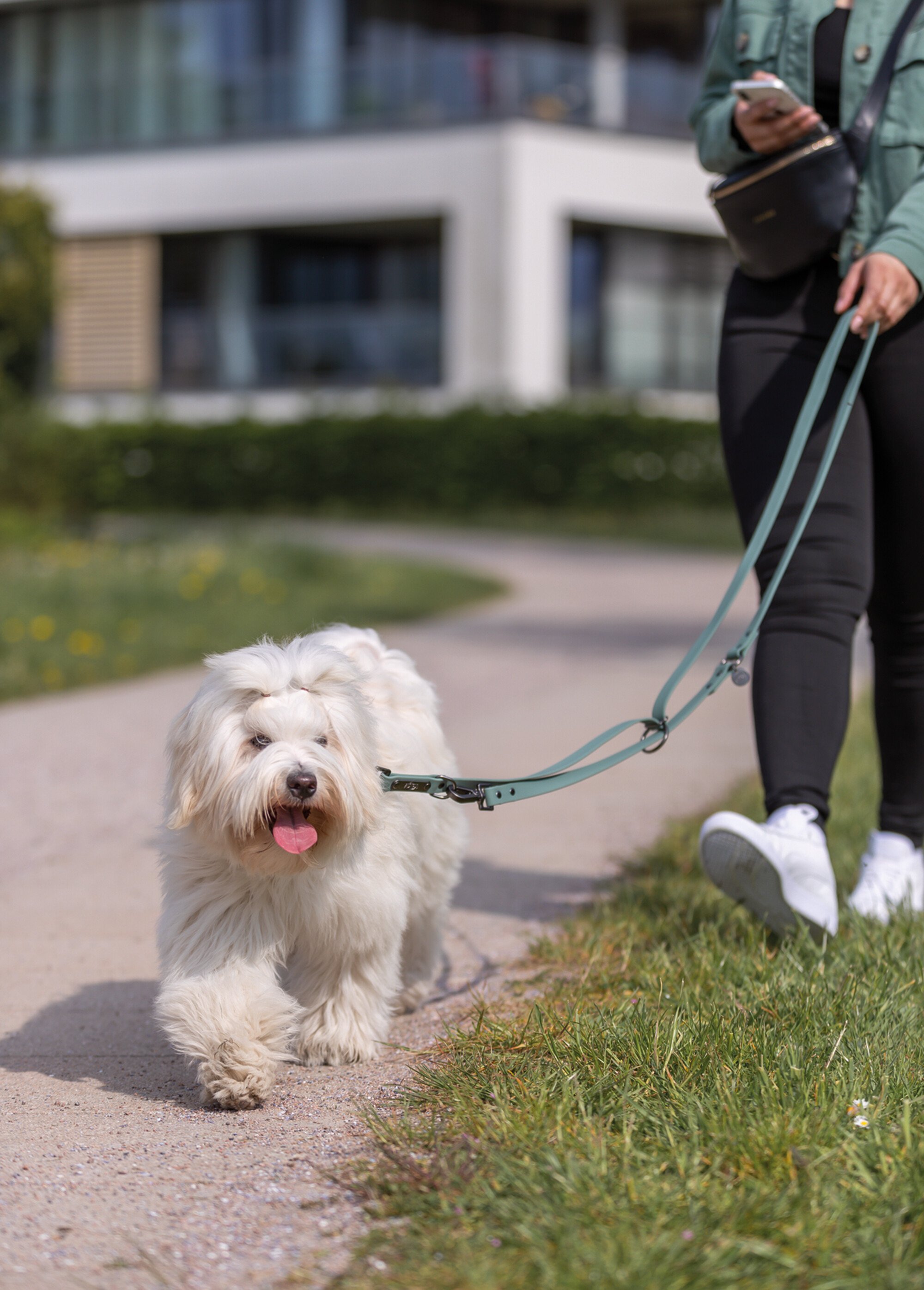 Laisse PVC réglable CITY STYLE pour chien VERT TRX-1971219 SI2