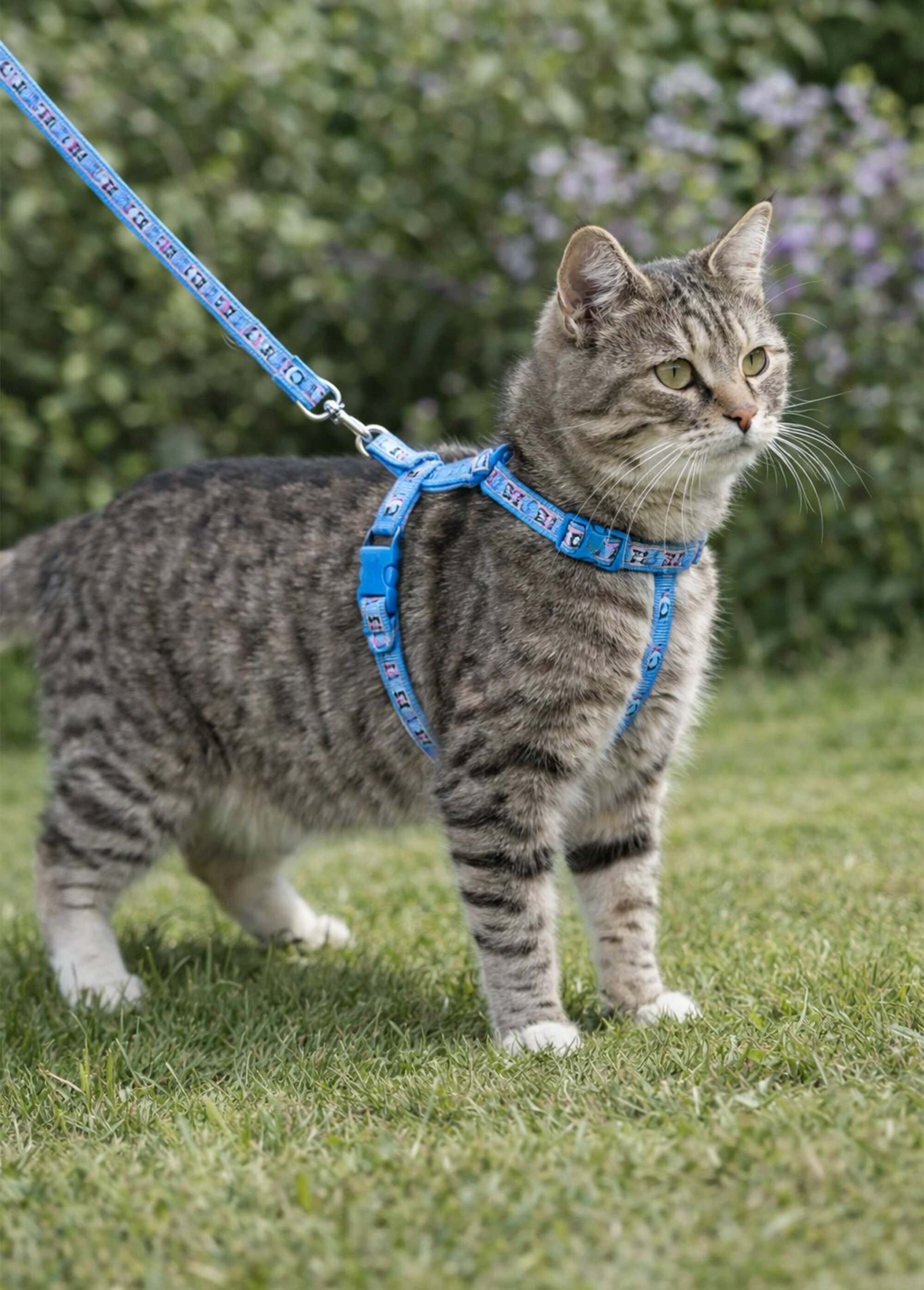 Harnais fantaisie pour chat BLEU RIG-00001748EL SI1