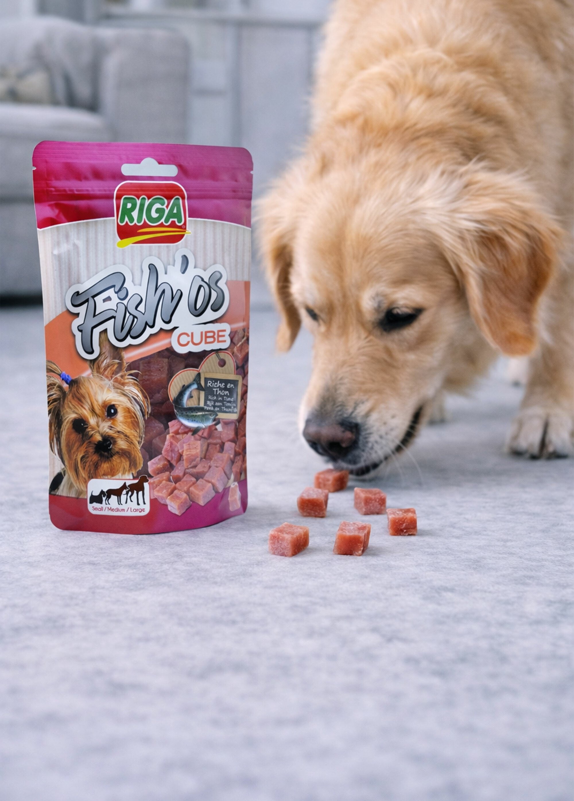 Friandises cubes au poisson, pour chien MARRON RIG-00006261EL SI1