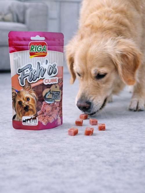Friandises cubes au poisson, pour chien MARRON RIG-00006261EL SI1