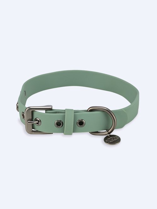 Collier en PVC CITY STYLE pour chien SAUGE TRX-1971419 FA1