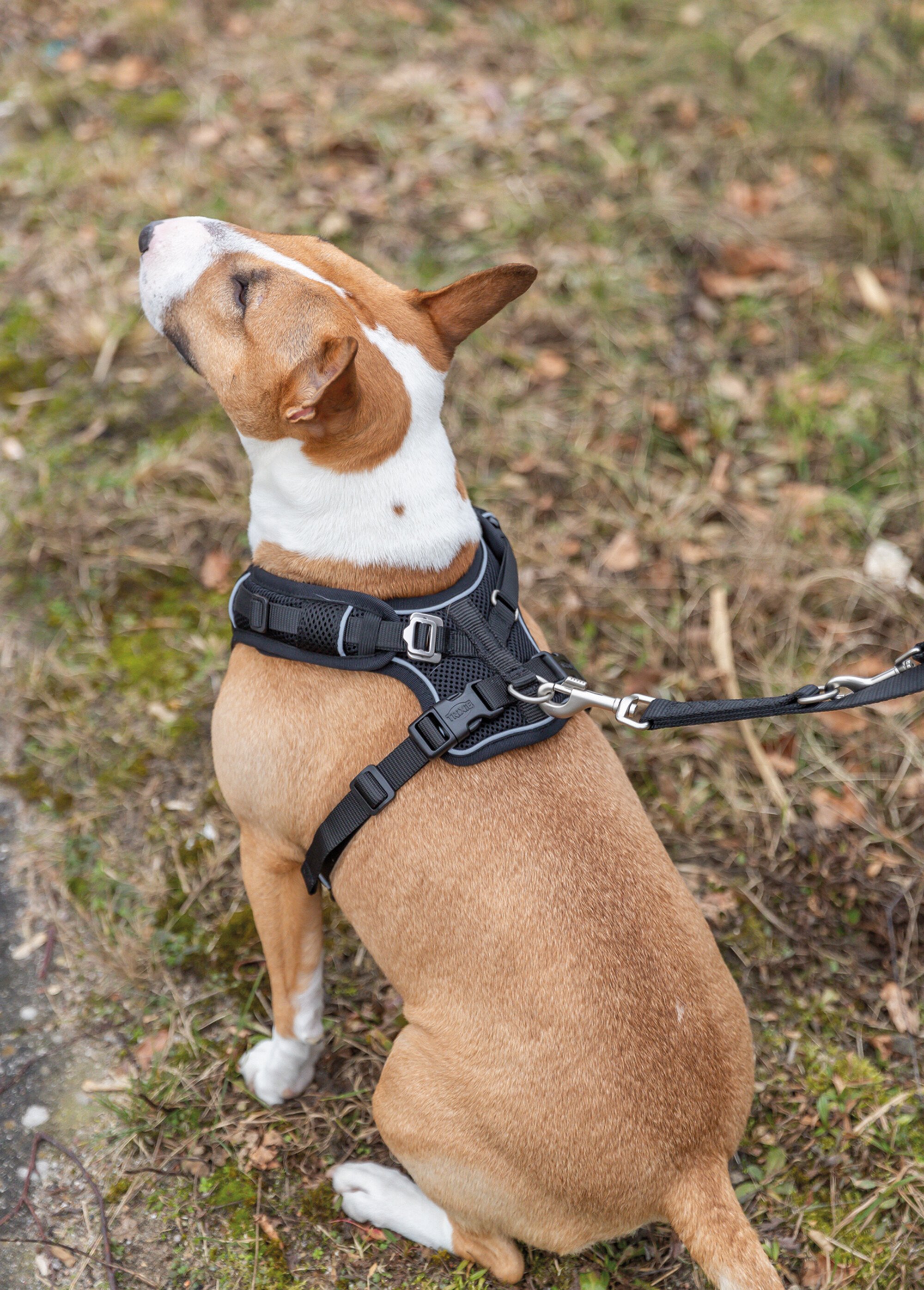 Harnais petit chien Premium FLEX MESH NOIR TRX-1989101 SI1