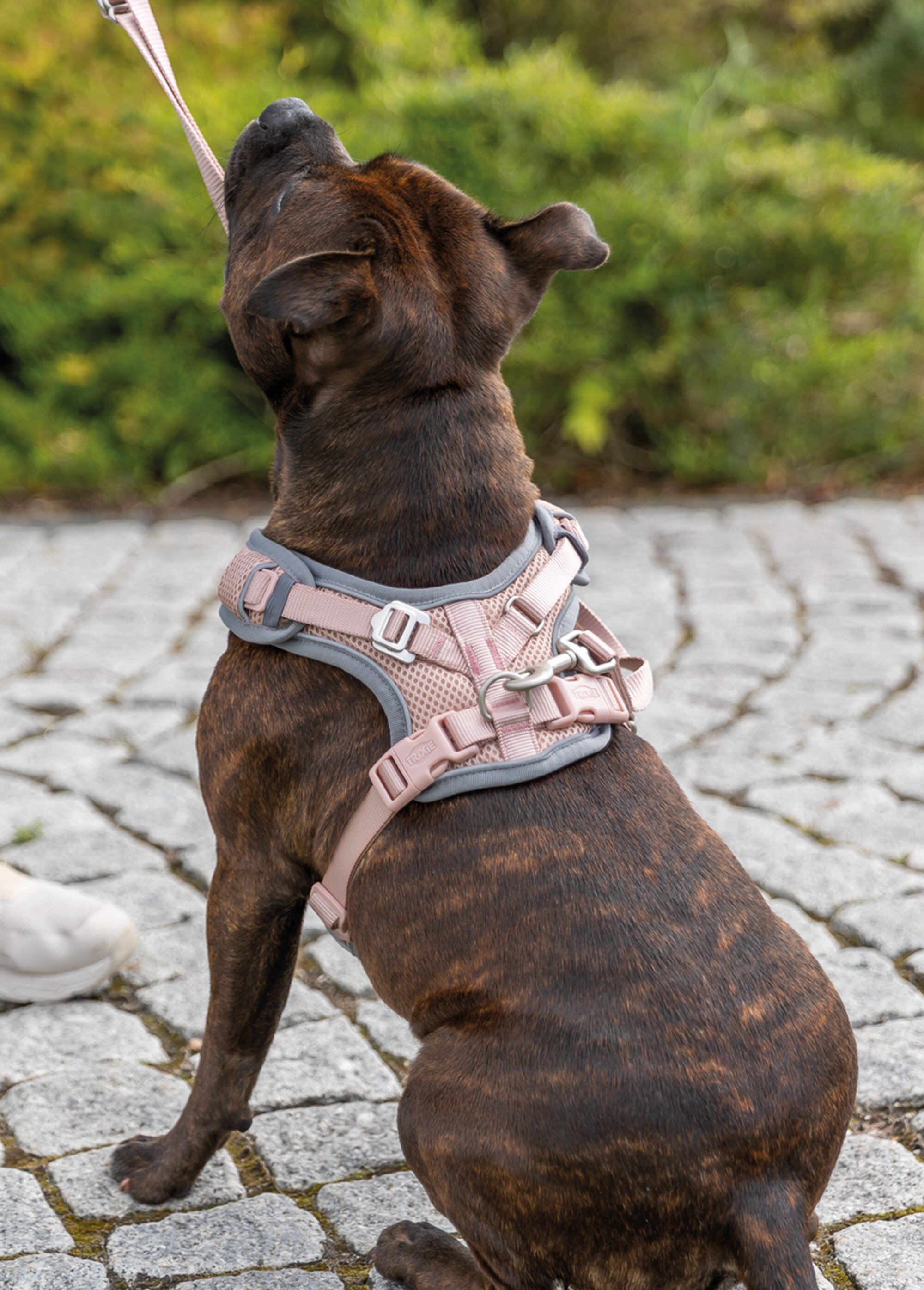 Harnais petit chien Premium FLEX MESH ROSE TRX-1989101 SI1