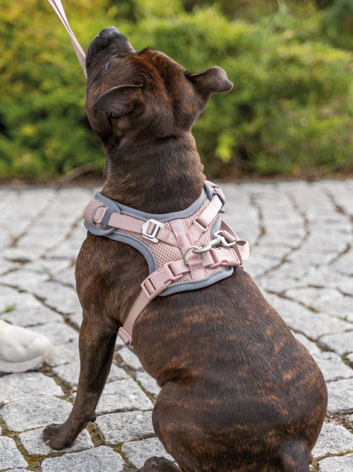 Harnais petit chien Premium FLEX MESH ROSE TRX-1989101 SI1