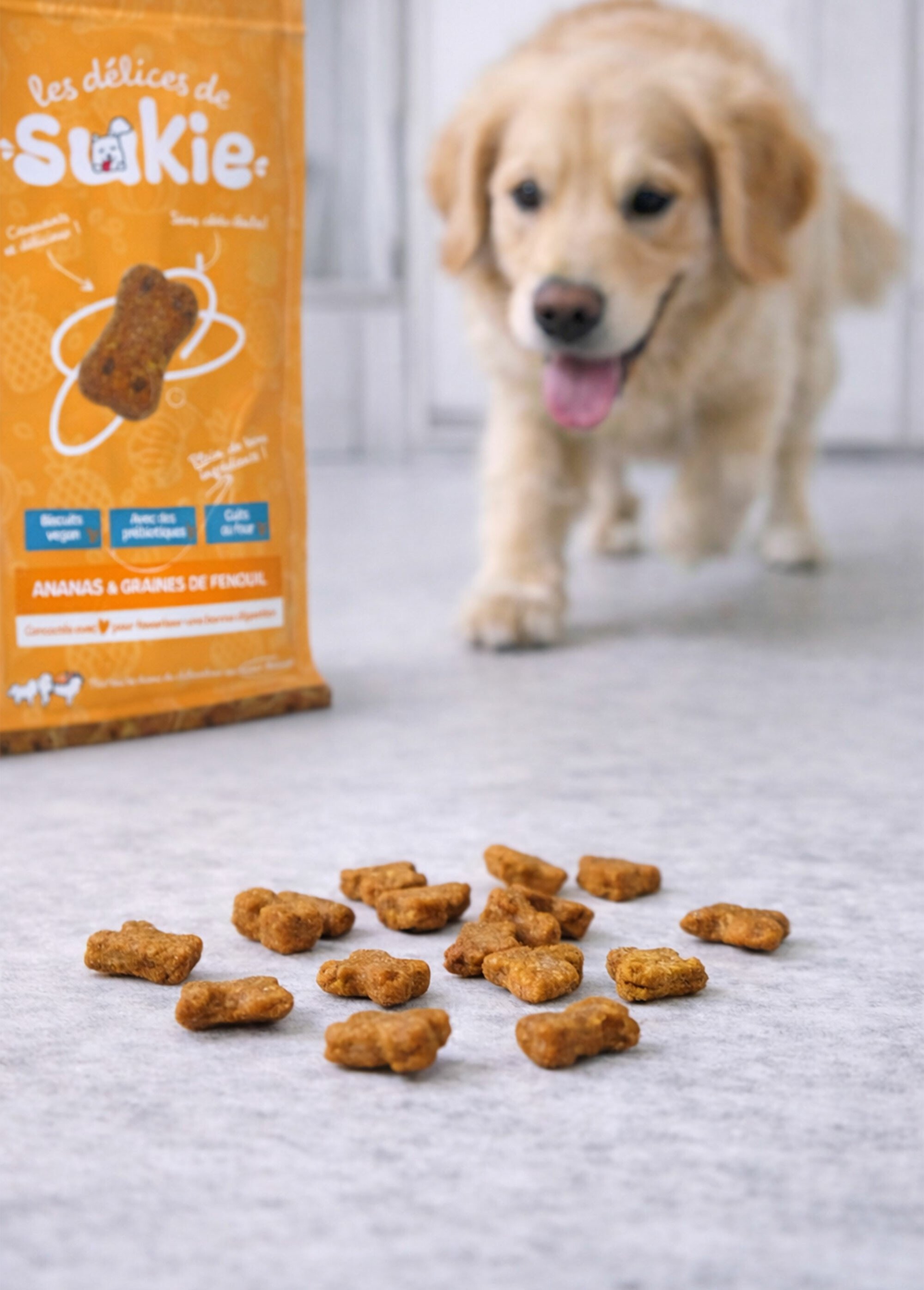 Biscuits vegan pour chien, Digestion MARRON RIG-00006487EL SI1