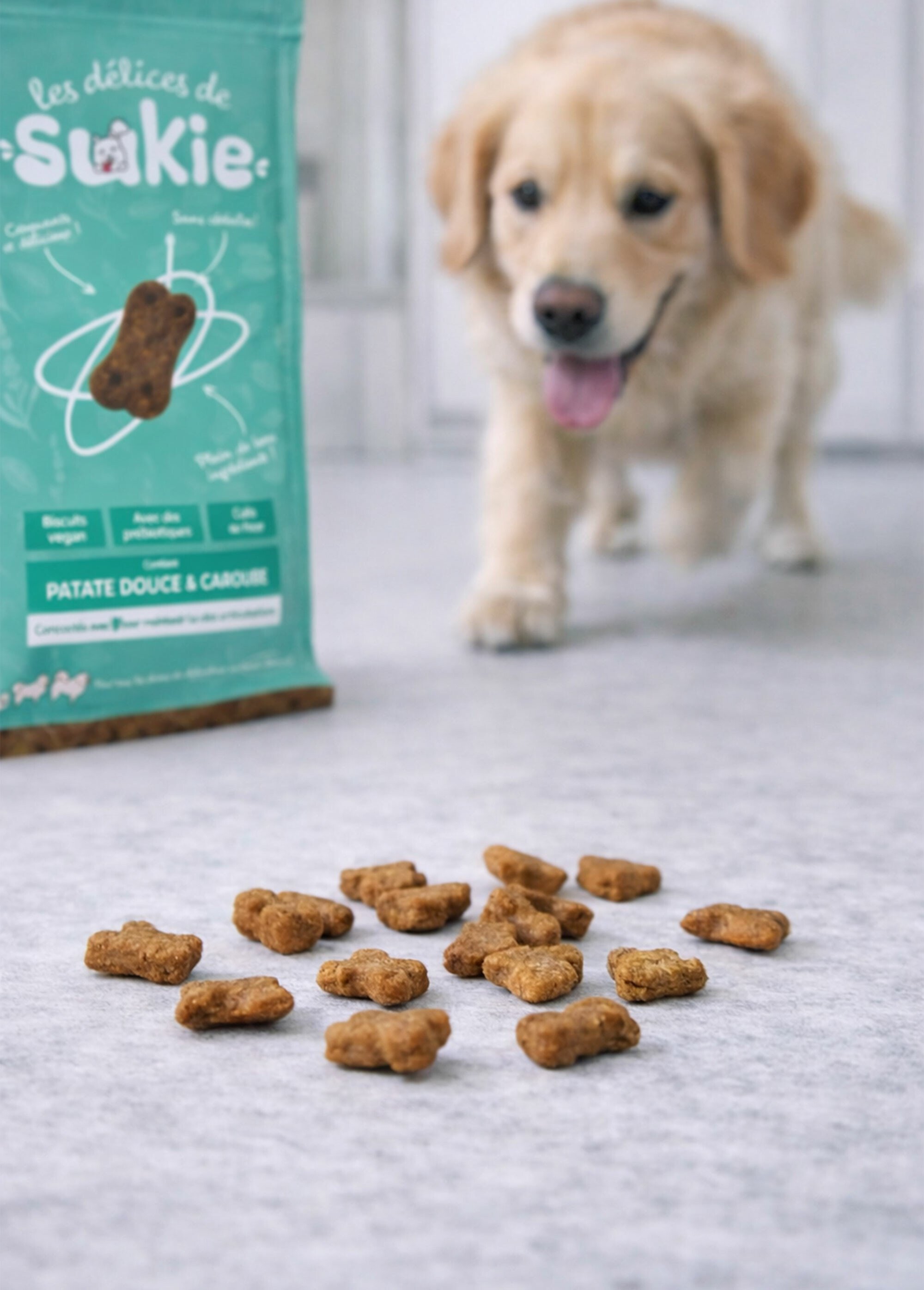 Biscuits vegan pour chien, Articulations MARRON RIG-00006489EL SI1