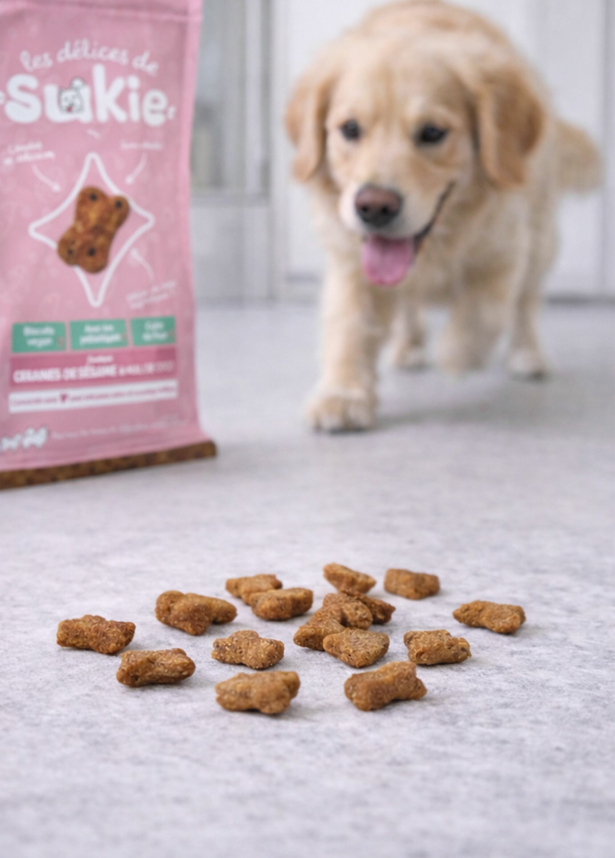 Biscuits vegan pour chien, Peau & pelage MARRON RIG-00006490EL SI1