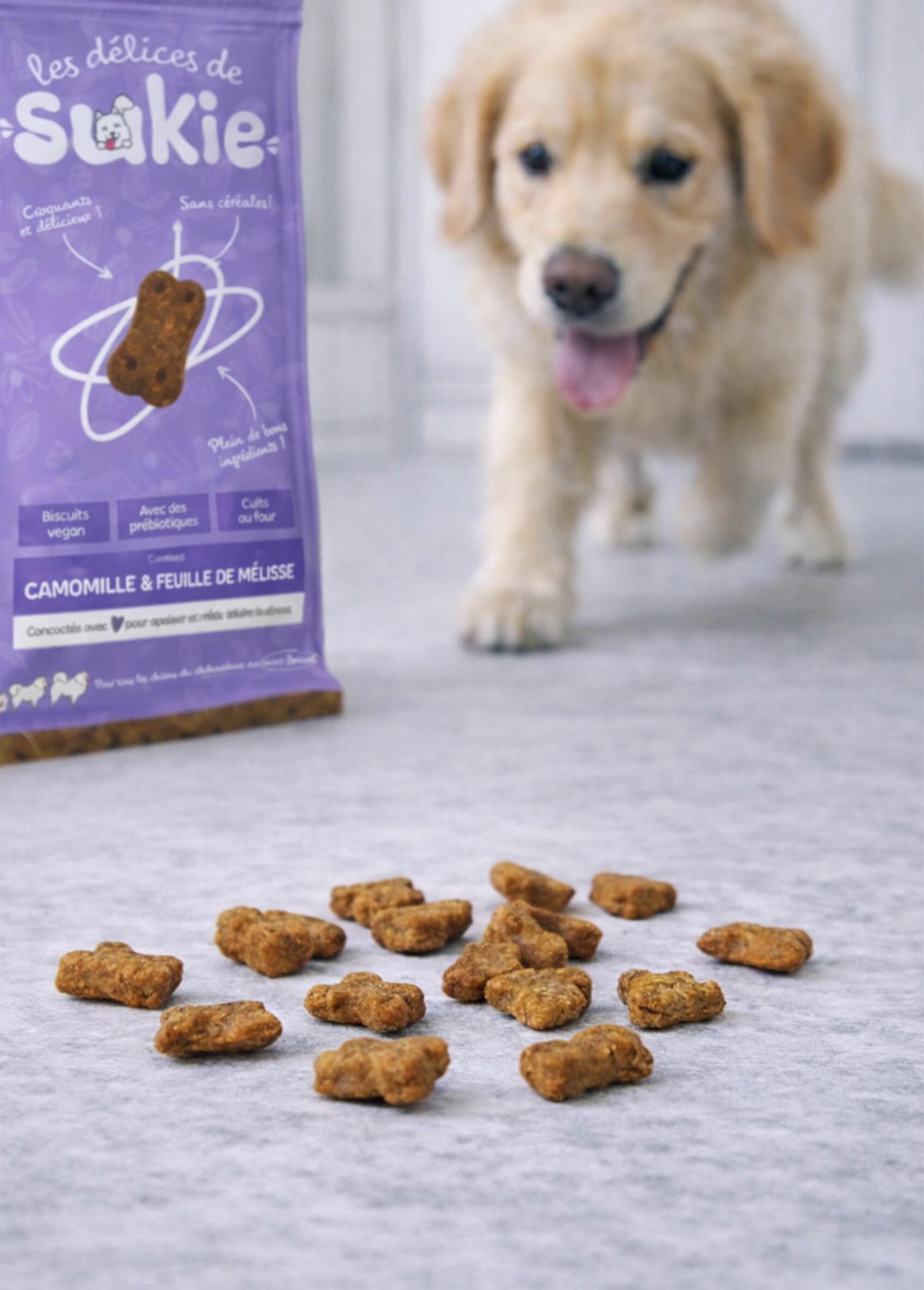 Biscuits vegan pour chien, Calmants MARRON RIG-00006488EL SI1
