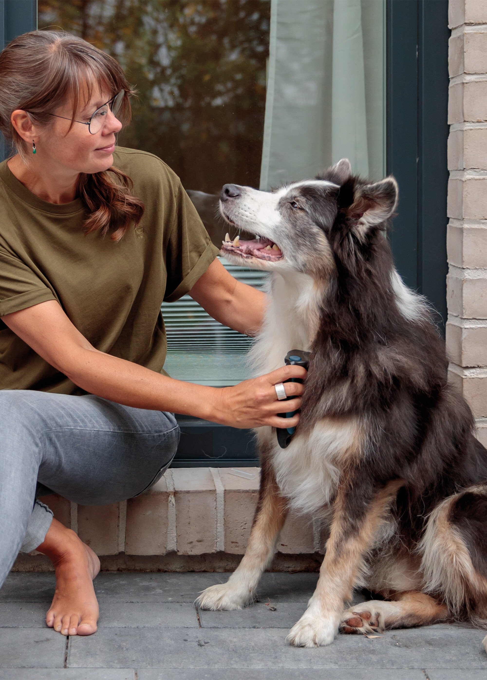 Brosse carde pour pelage animaux BLEU TRX-24171 SI1