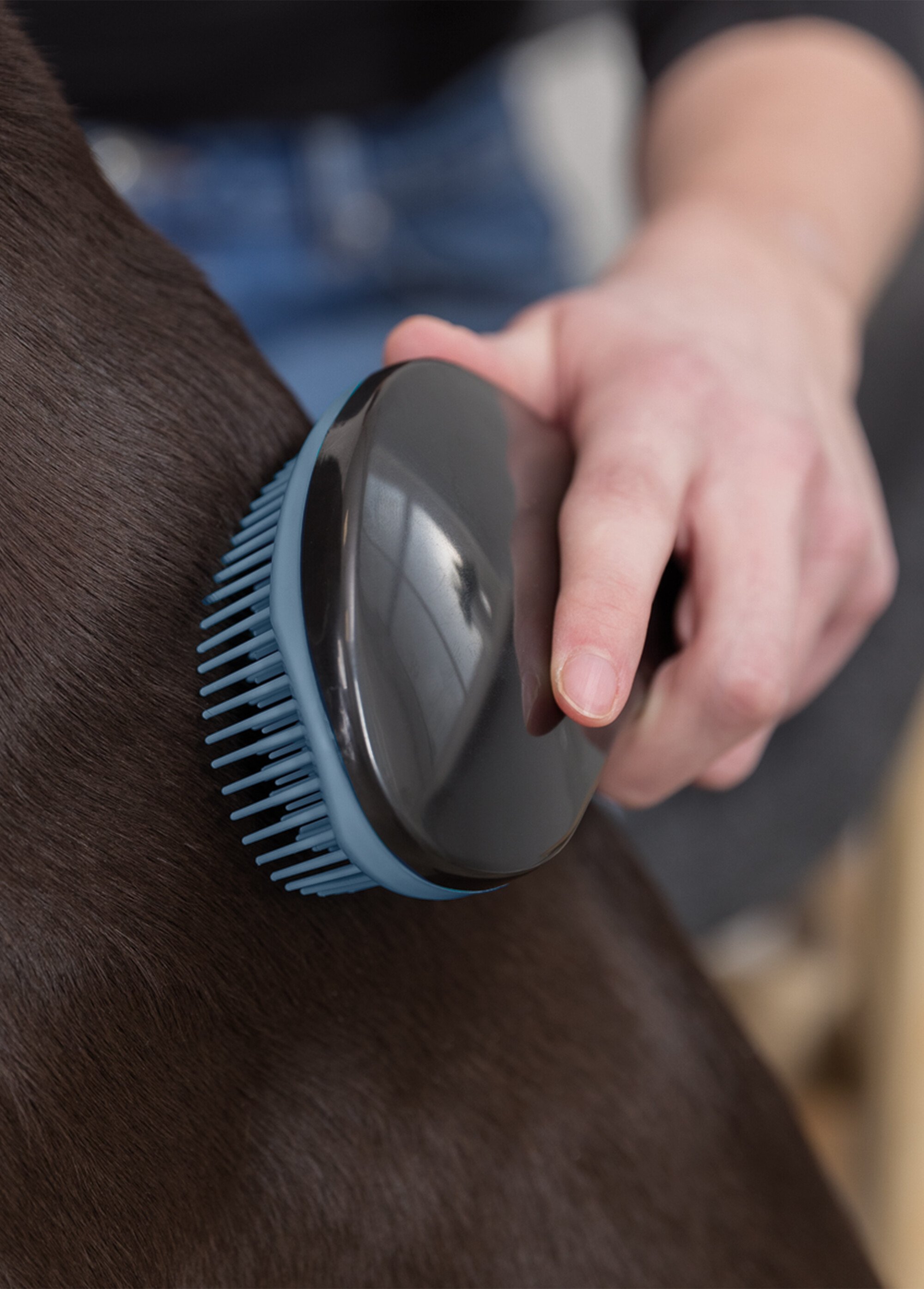 Brosse souple démêlante pour animaux BLEU TRX-24155 DE3