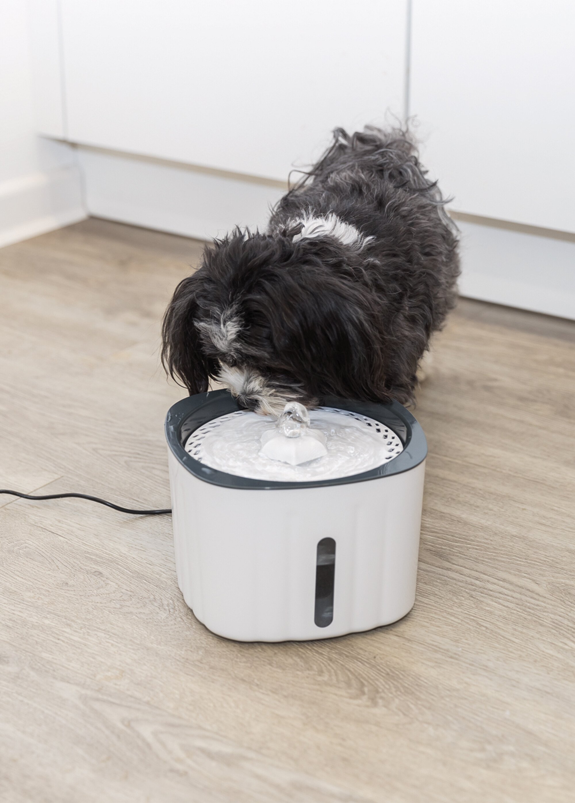 Fontaine à eau avec filtre, pour animaux BLANC TRX-24446 SI1