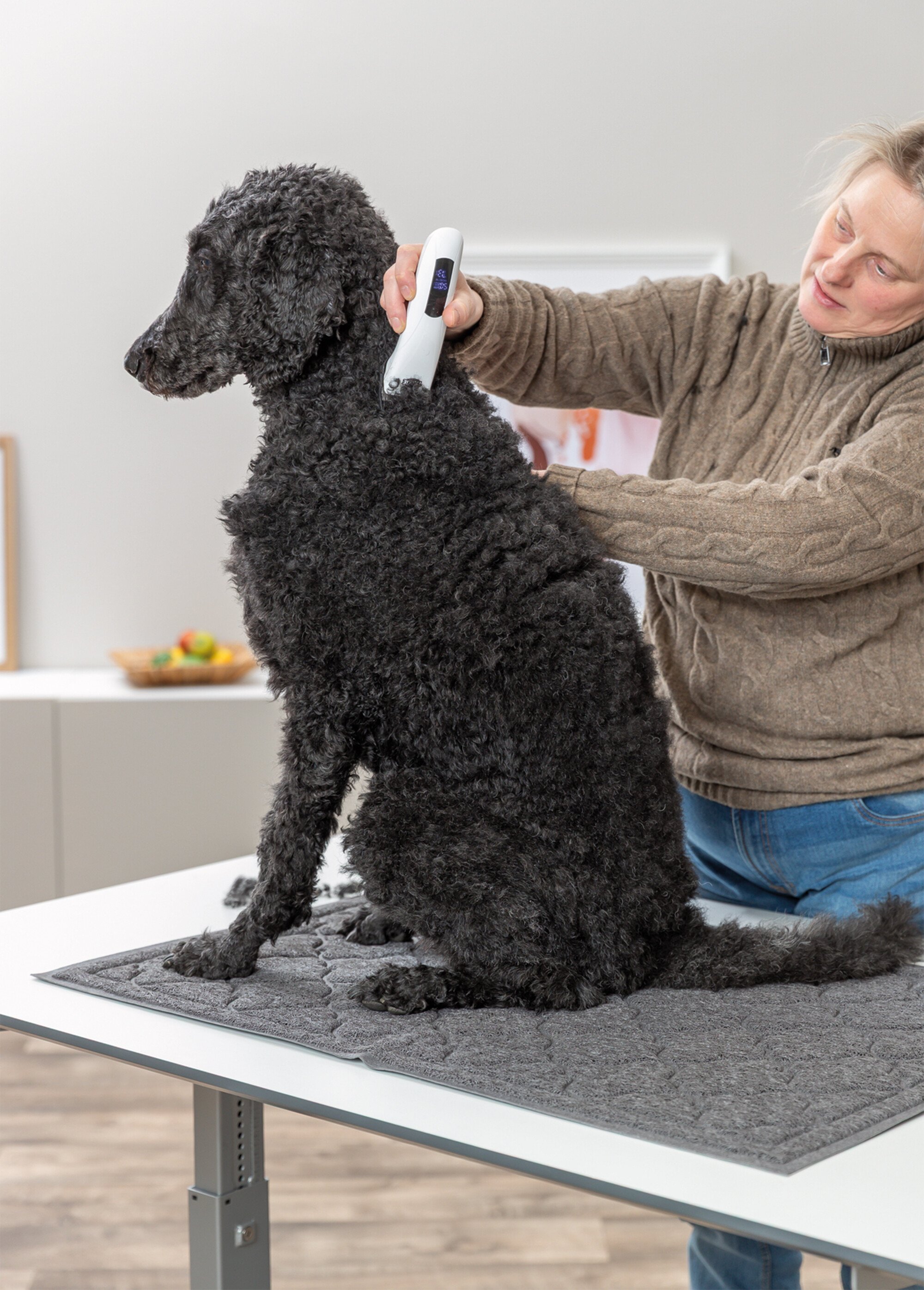 Tondeuse sans fil rechargeable + 4 têtes BLANC TRX-23885 SI1